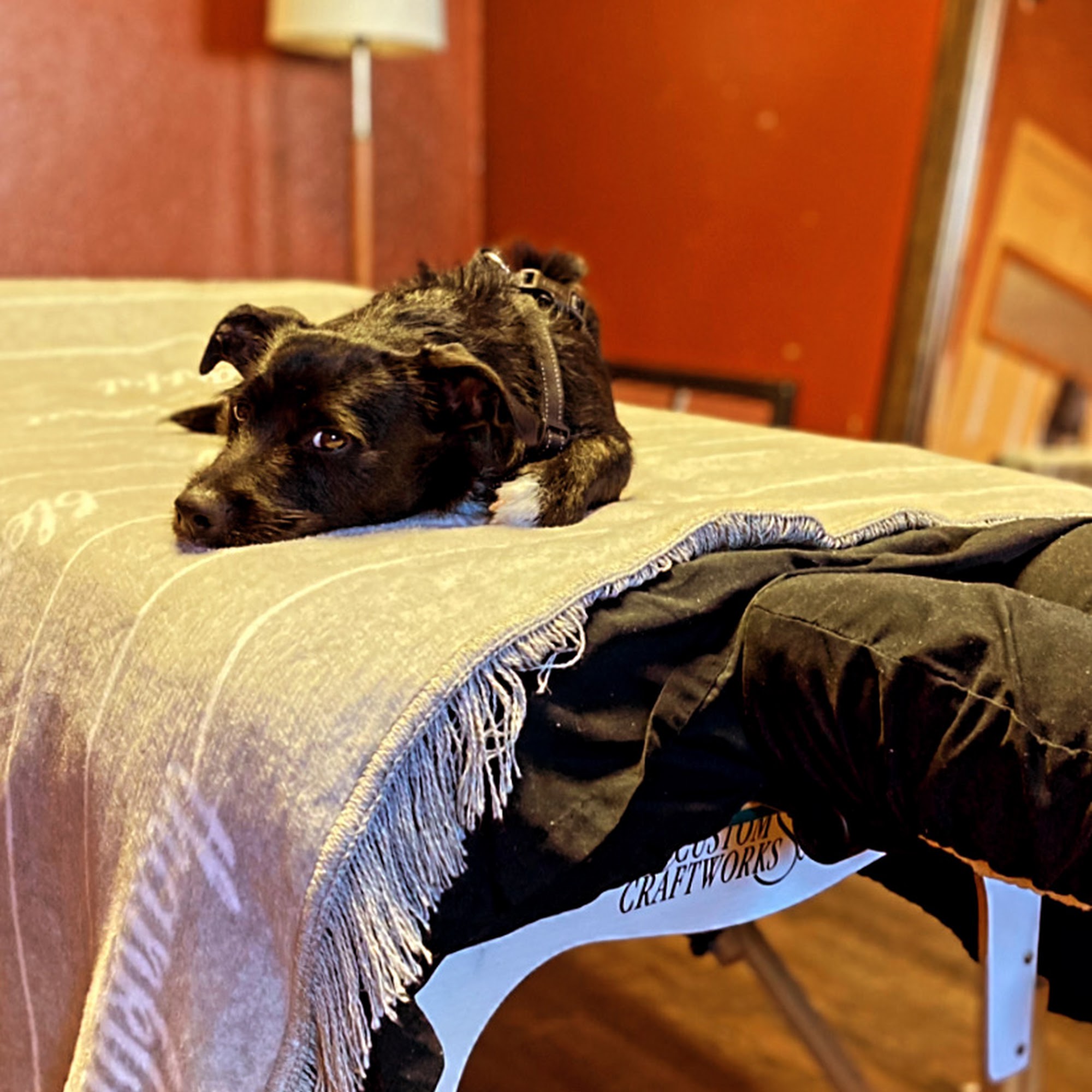 Pueo Family Medicine 1120 Makawao Ave, Makawao Hawaii 96768