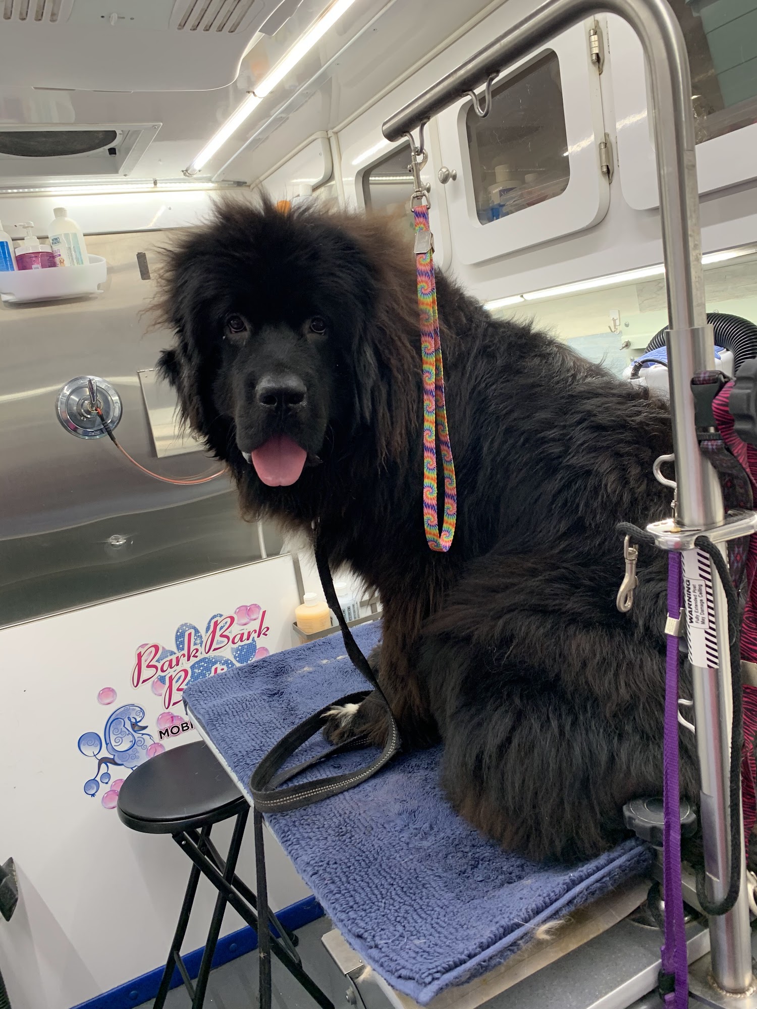 Barkbark Boutique Mobile Grooming Mililani