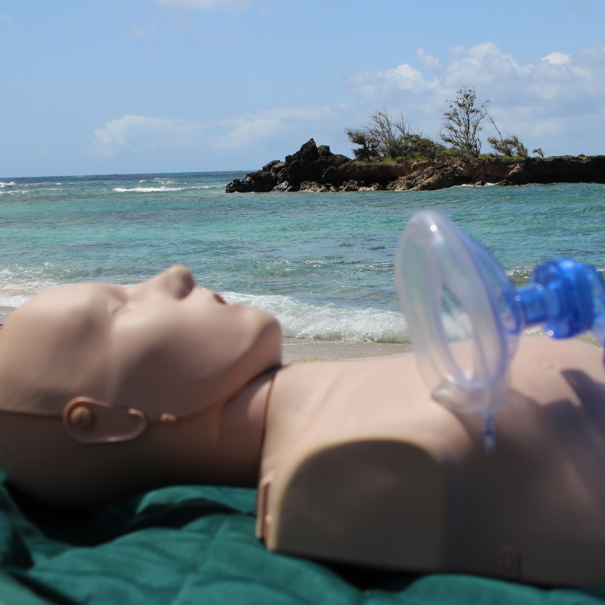 Defib Hawaii 95-247 Kapanoe Pl, Mililani Hawaii 96789