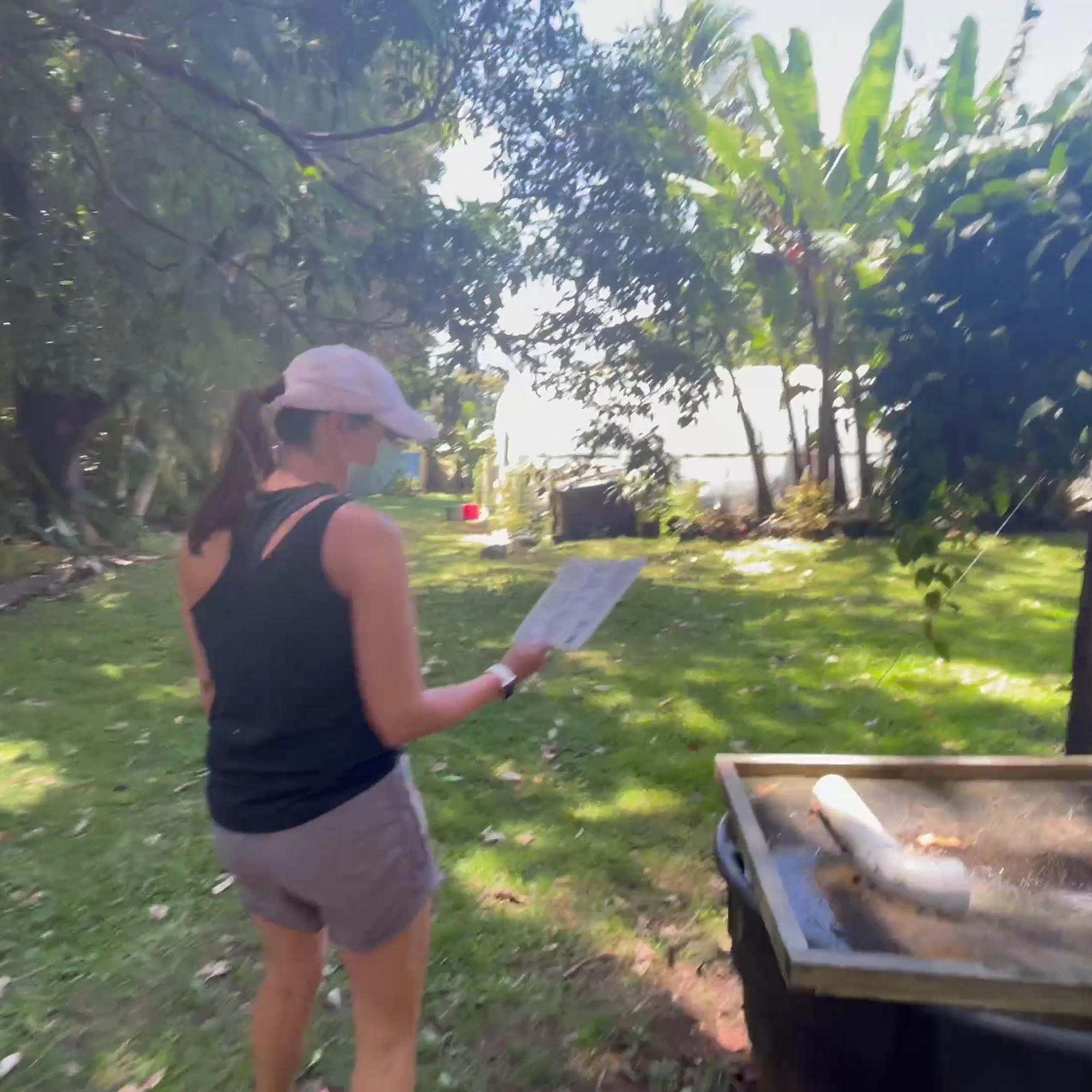 Paradise Meadows Orchard and Bee Farm, Home of Hawaii's Local Buzz Naalehu