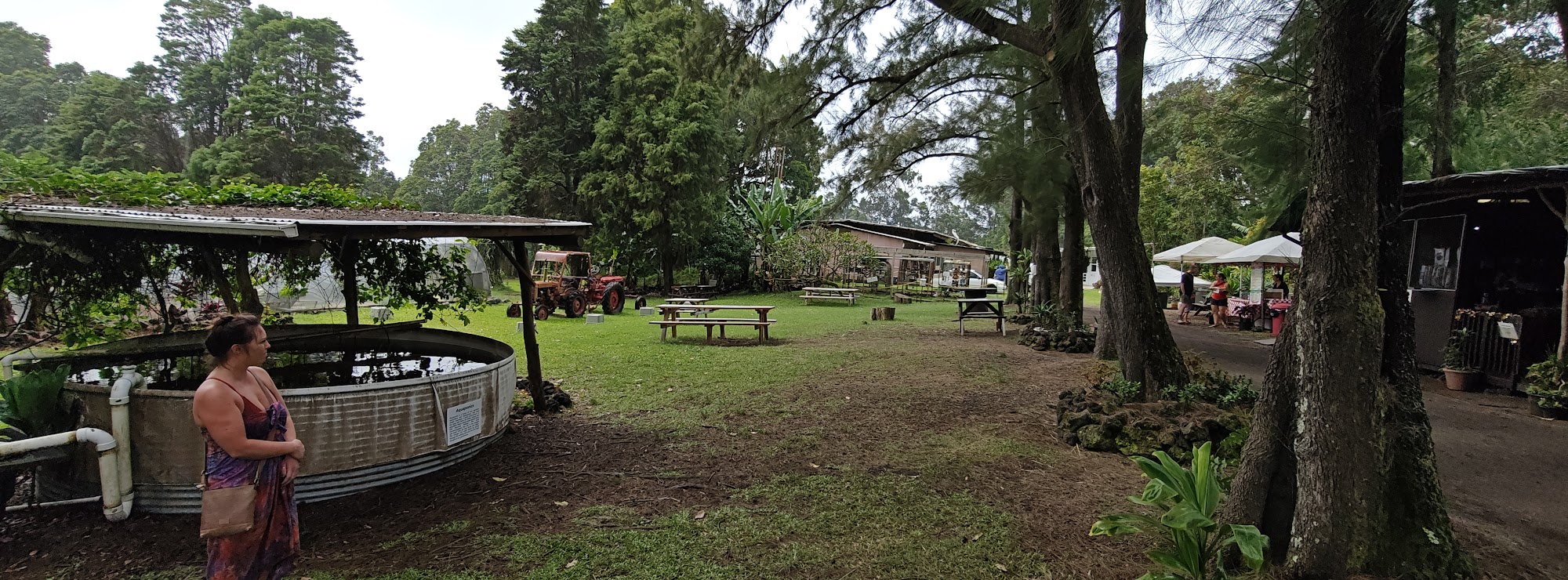 Paradise Meadows Orchard and Bee Farm, Home of Hawaii's Local Buzz Naalehu