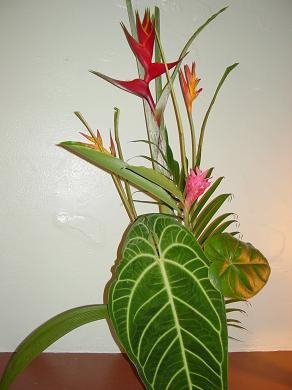 Pahoa Therapeutic Massage