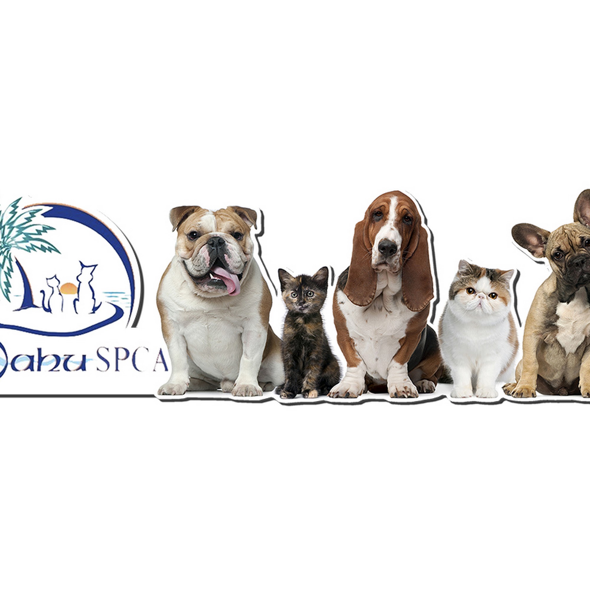Oahu SPCA Veterinary Clinic and Animal Shelter Wahiawa