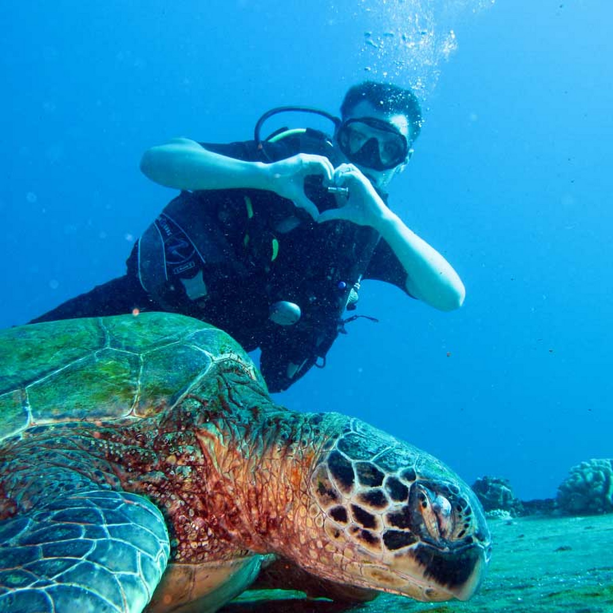 Maui Undersea Adventures Wailea