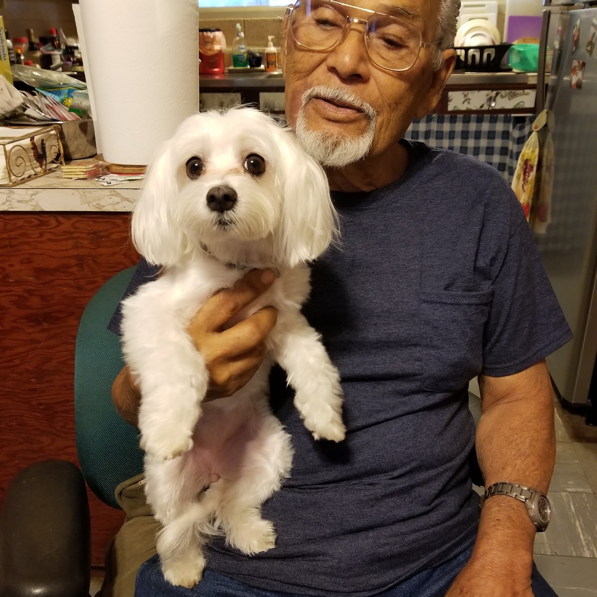 Maui Veterinary Clinic Wailuku