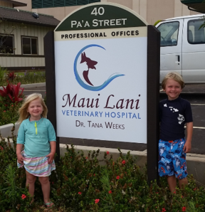 Maui Lani Veterinary Hospital Wailuku