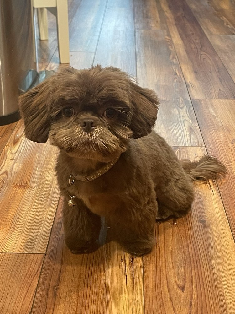 Ultimutt Grooming Salon Wailuku