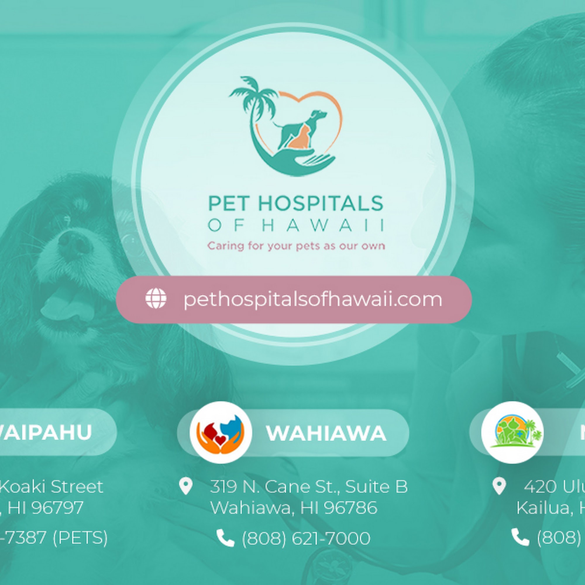 Waipahu Waikele Pet Hospital Waipahu