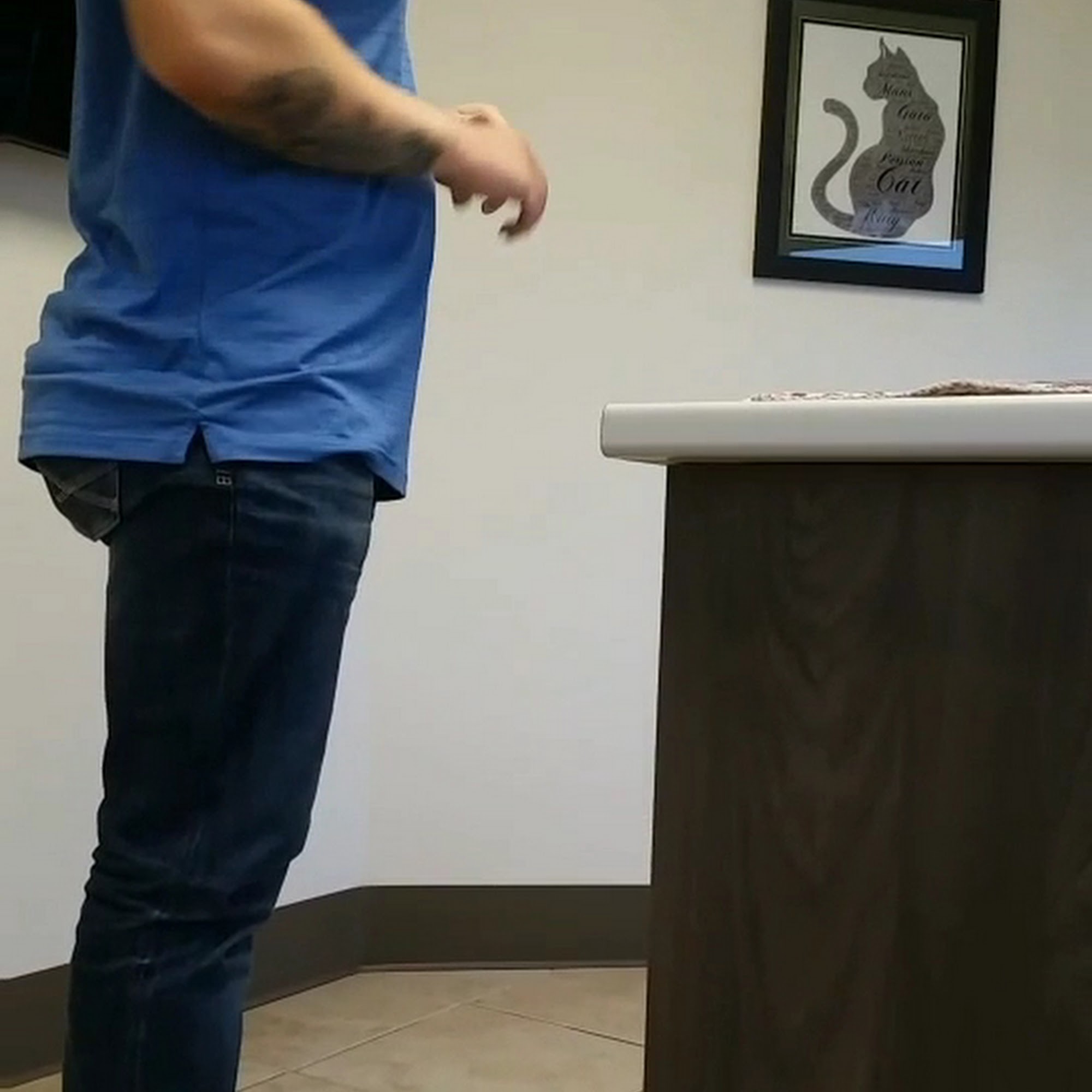 Adel Veterinary Clinic Adel