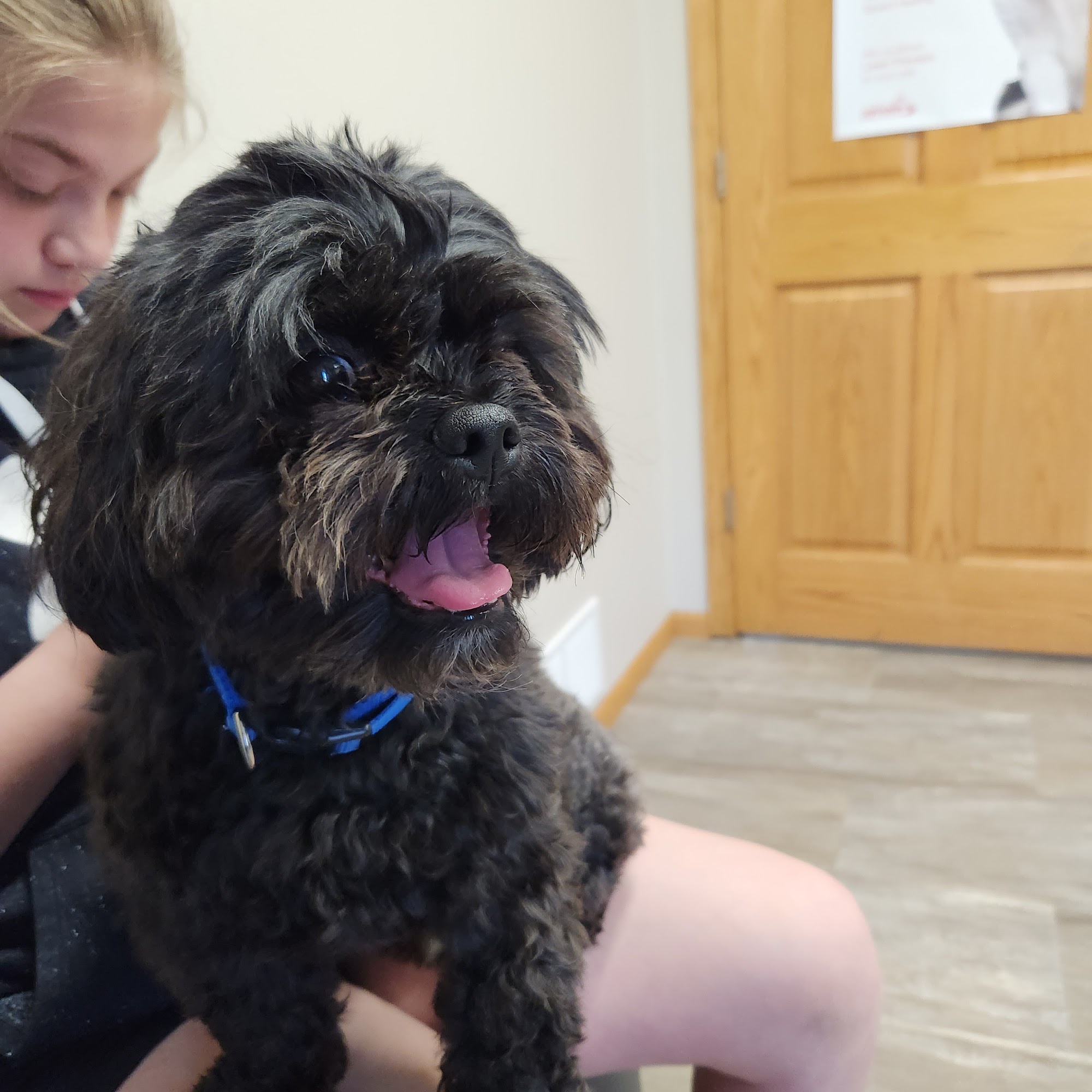 Holmes Animal Clinic Algona