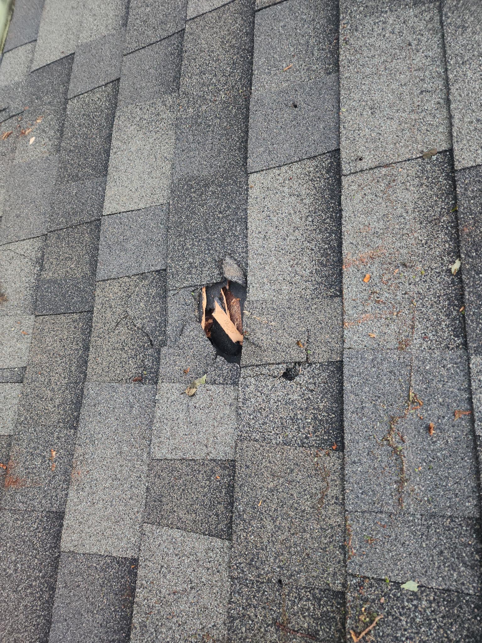 Veteran Roofing, LLC