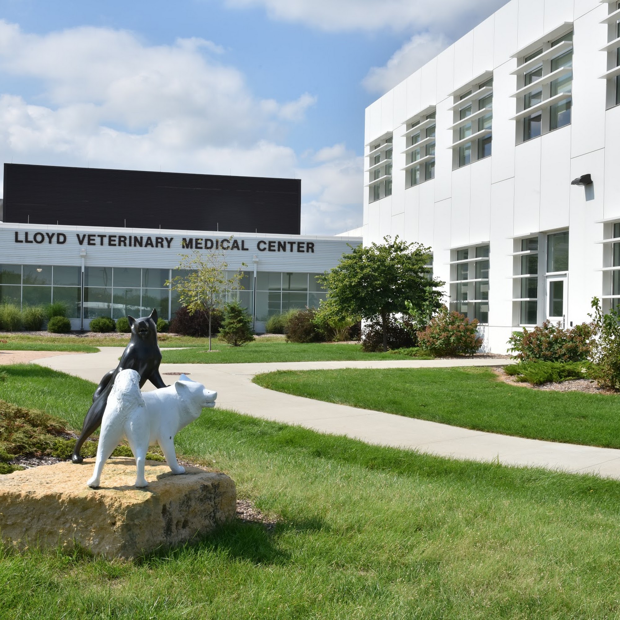 Lloyd Veterinary Medical Center Ames