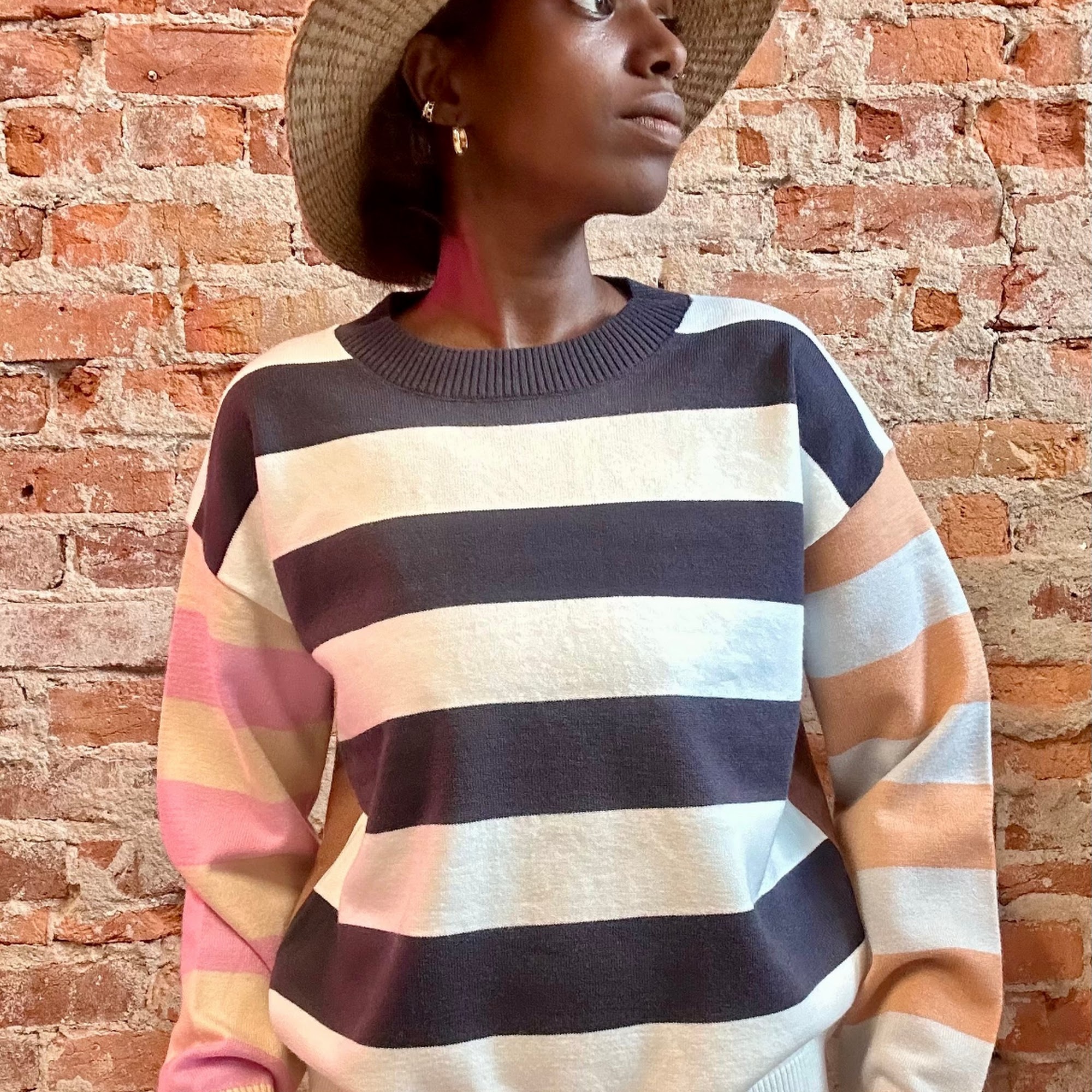 The Funky Zebras Ames