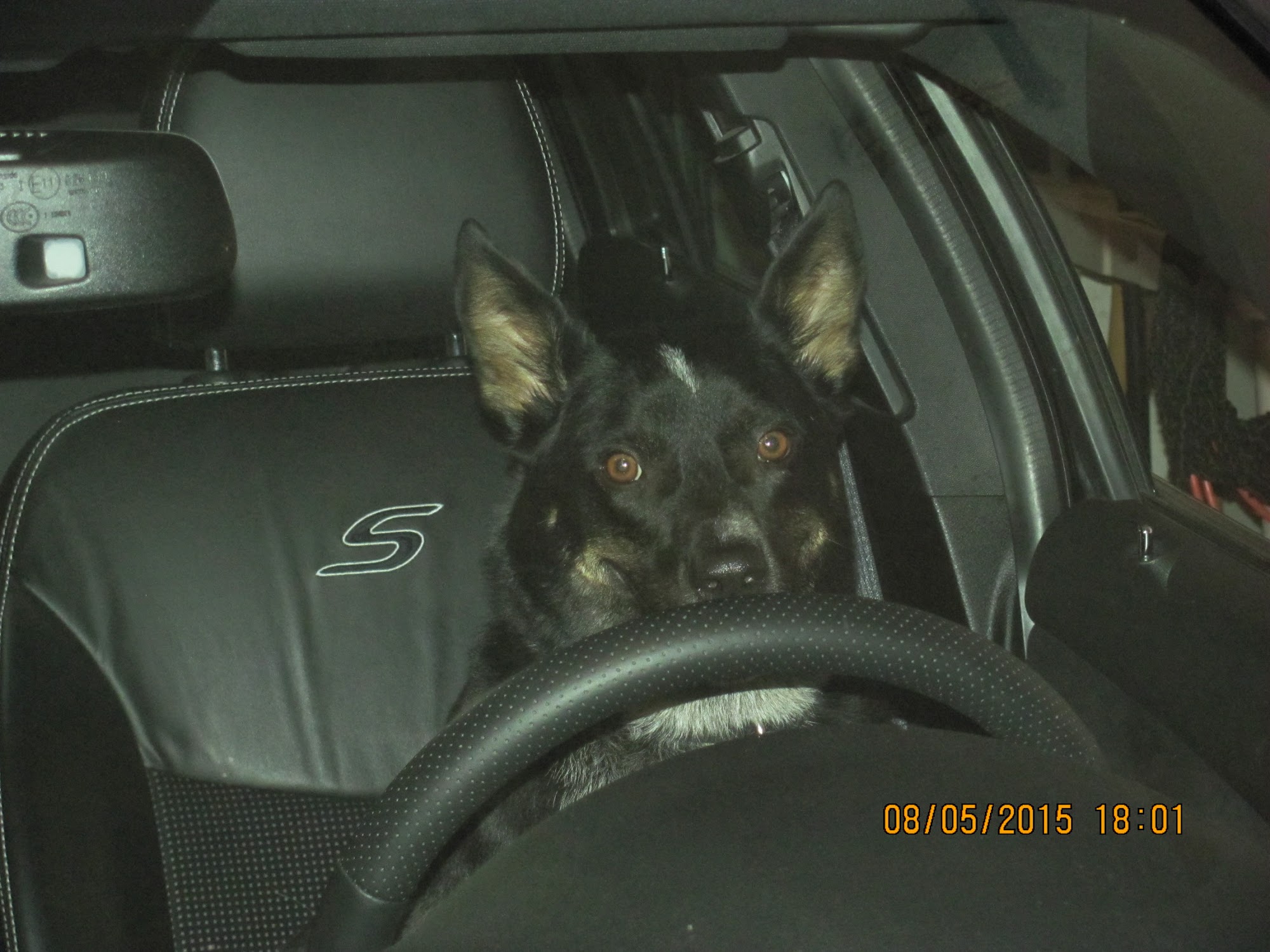 Ankeny Animal Health Clinic Ankeny