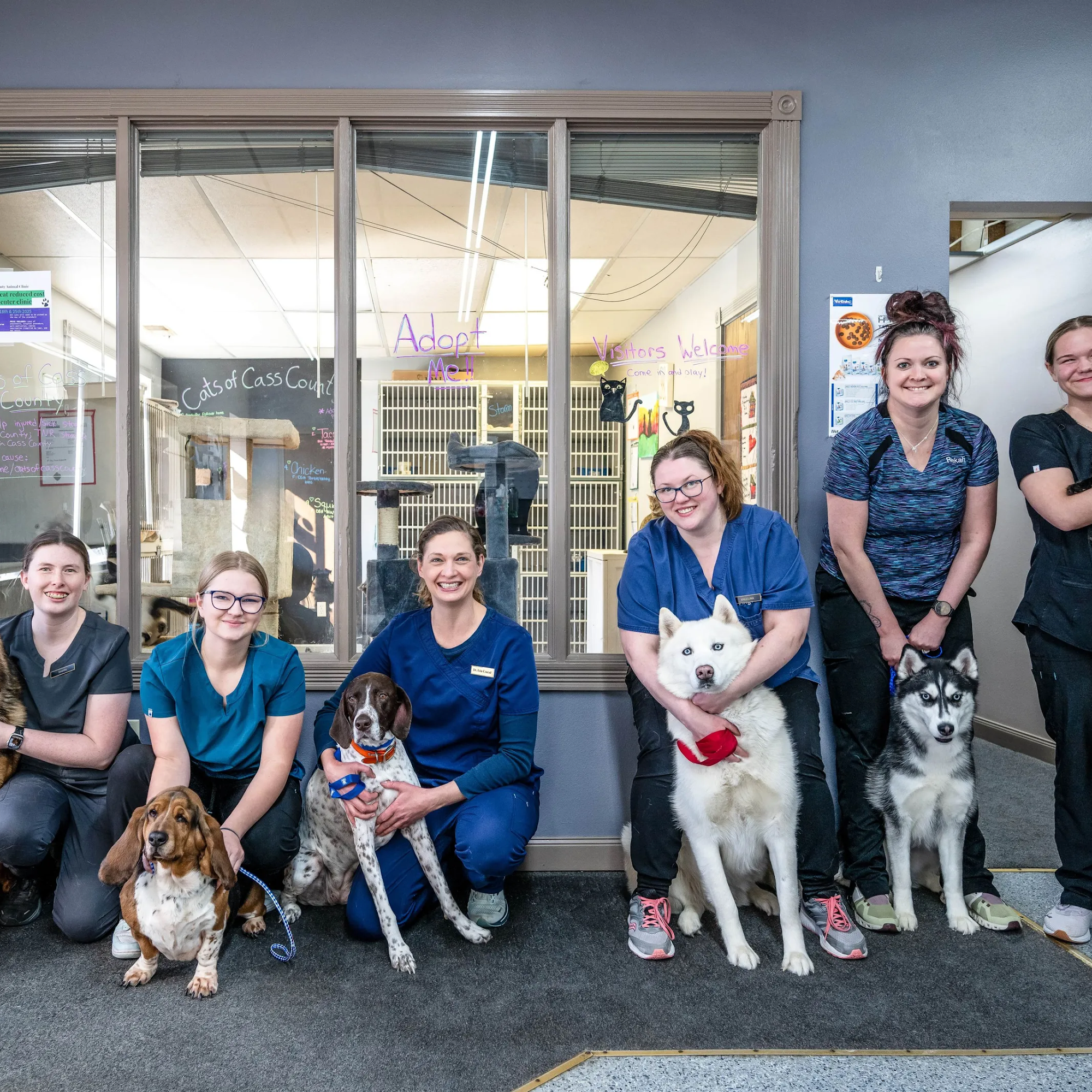 Cass County Animal Clinic Atlantic