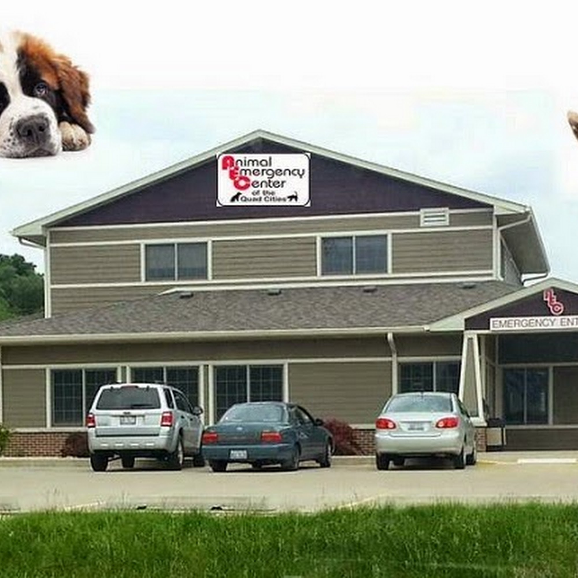 Animal Emergency Center Of The Quad Cities Bettendorf