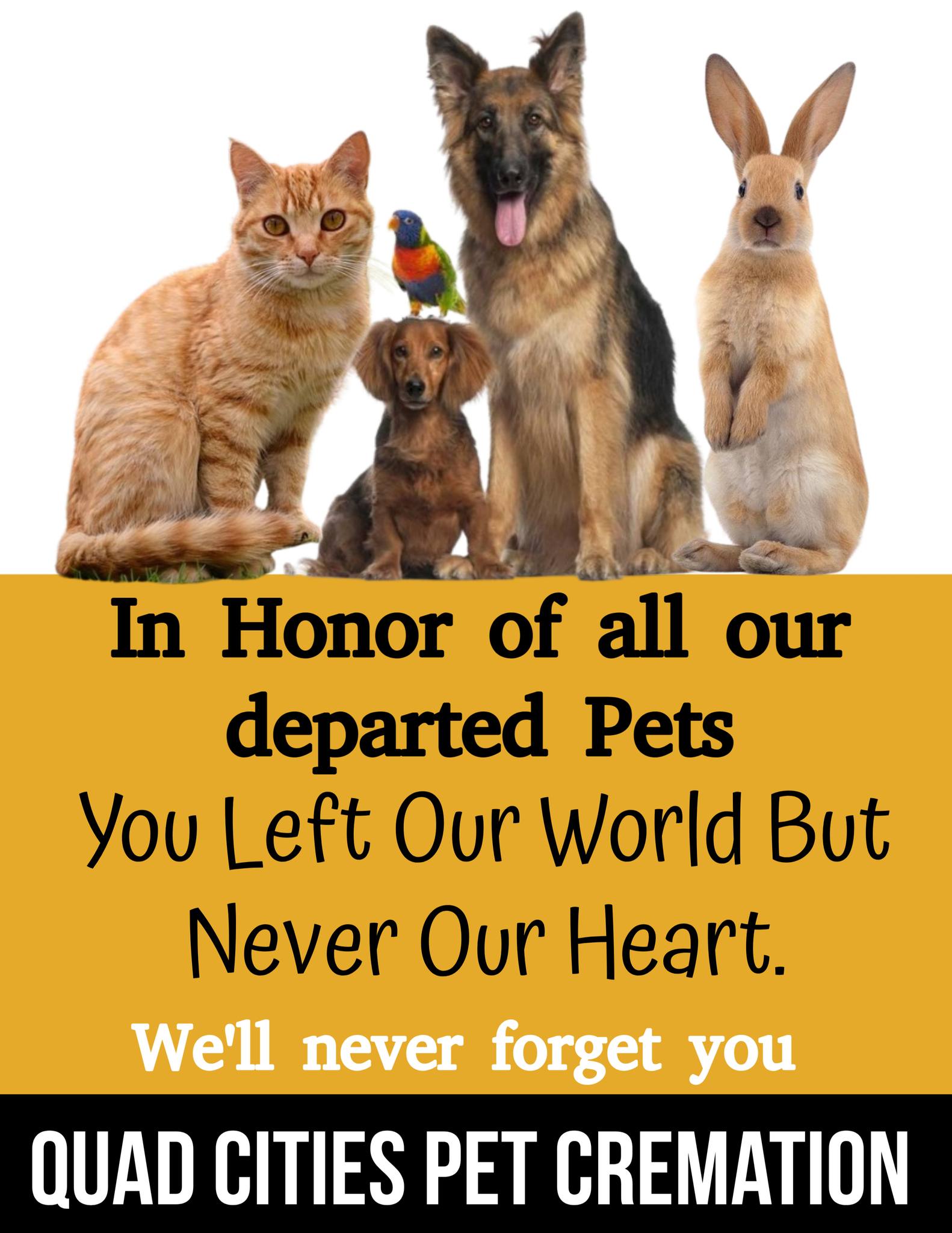 Quad Cities Pet Cremation Bettendorf