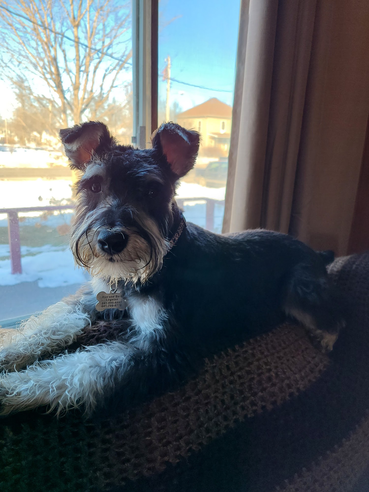 Clearview Animal Hospital Bloomfield