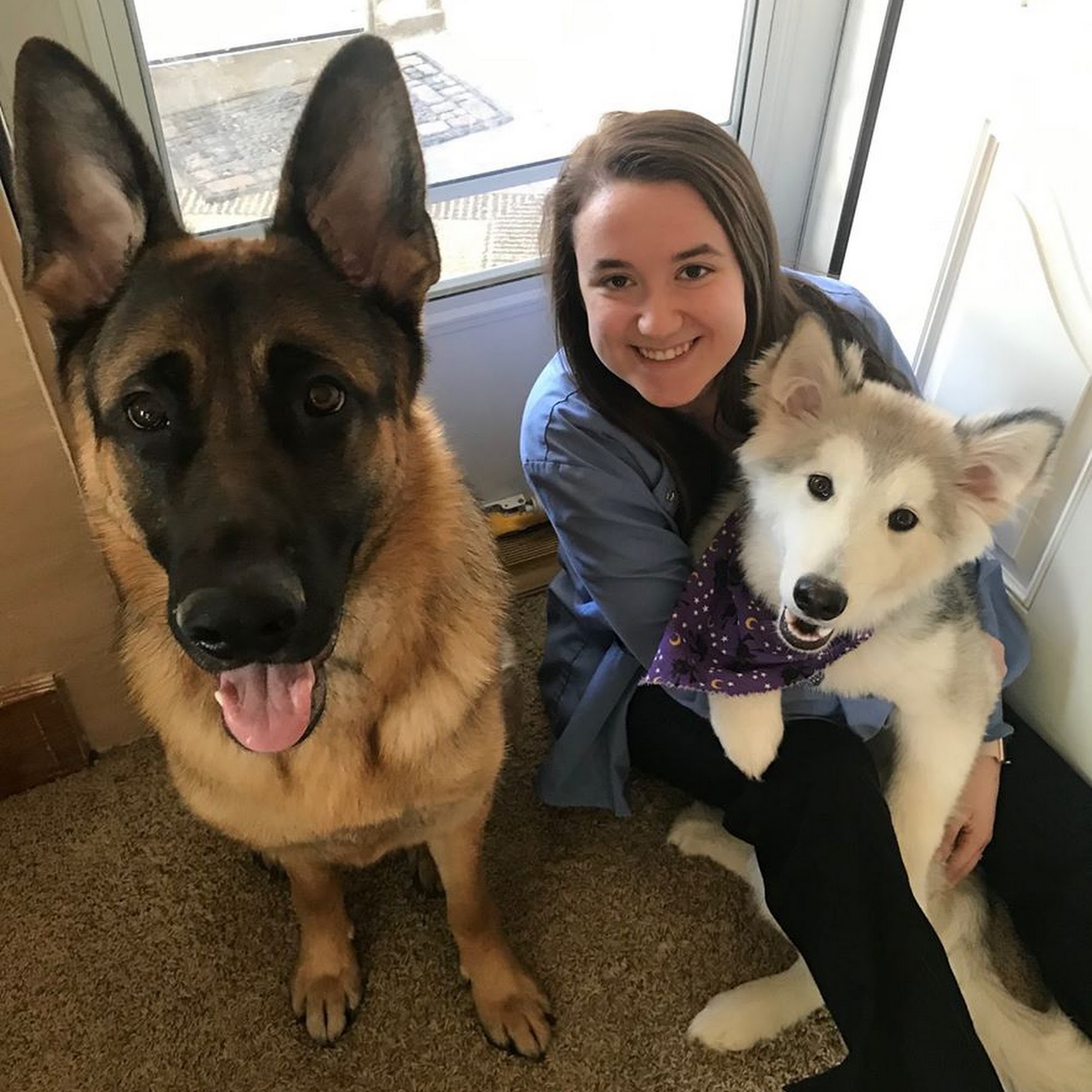 Allgood Animal Hospital Burlington