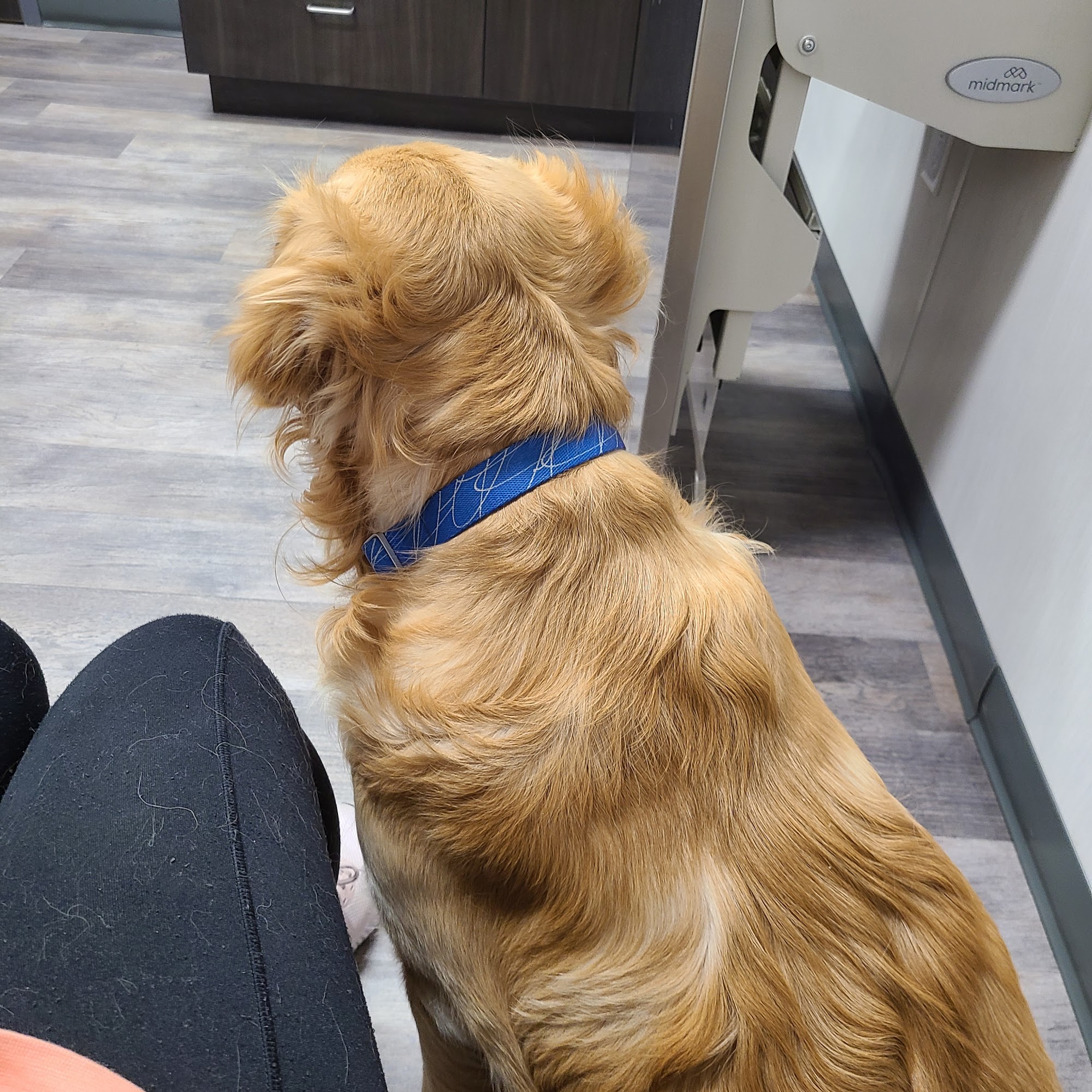 Carlisle Veterinary Clinic Carlisle