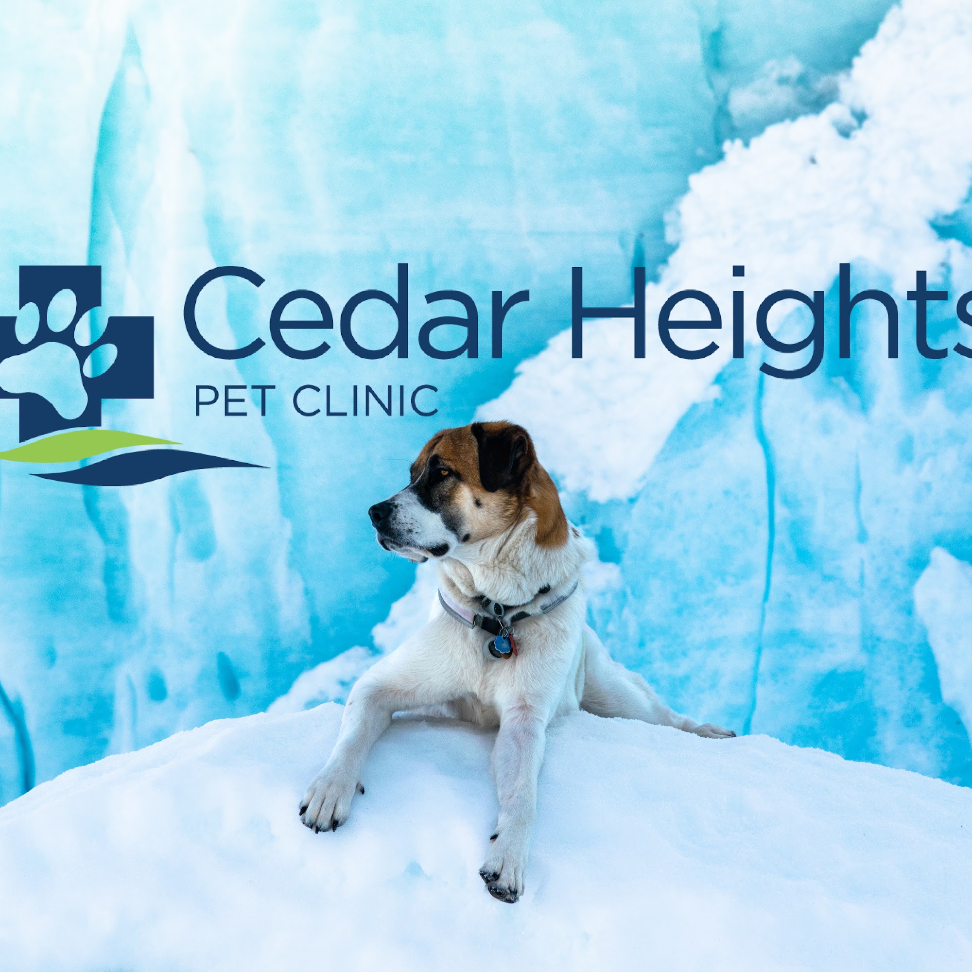 Cedar Heights Pet Clinic Cedar Falls