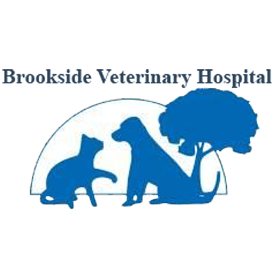 Brookside Veterinary Hospital Cedar Falls