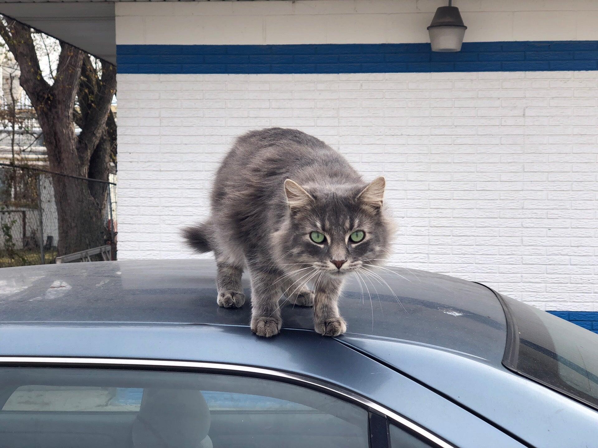 Photo credit: nextdoor