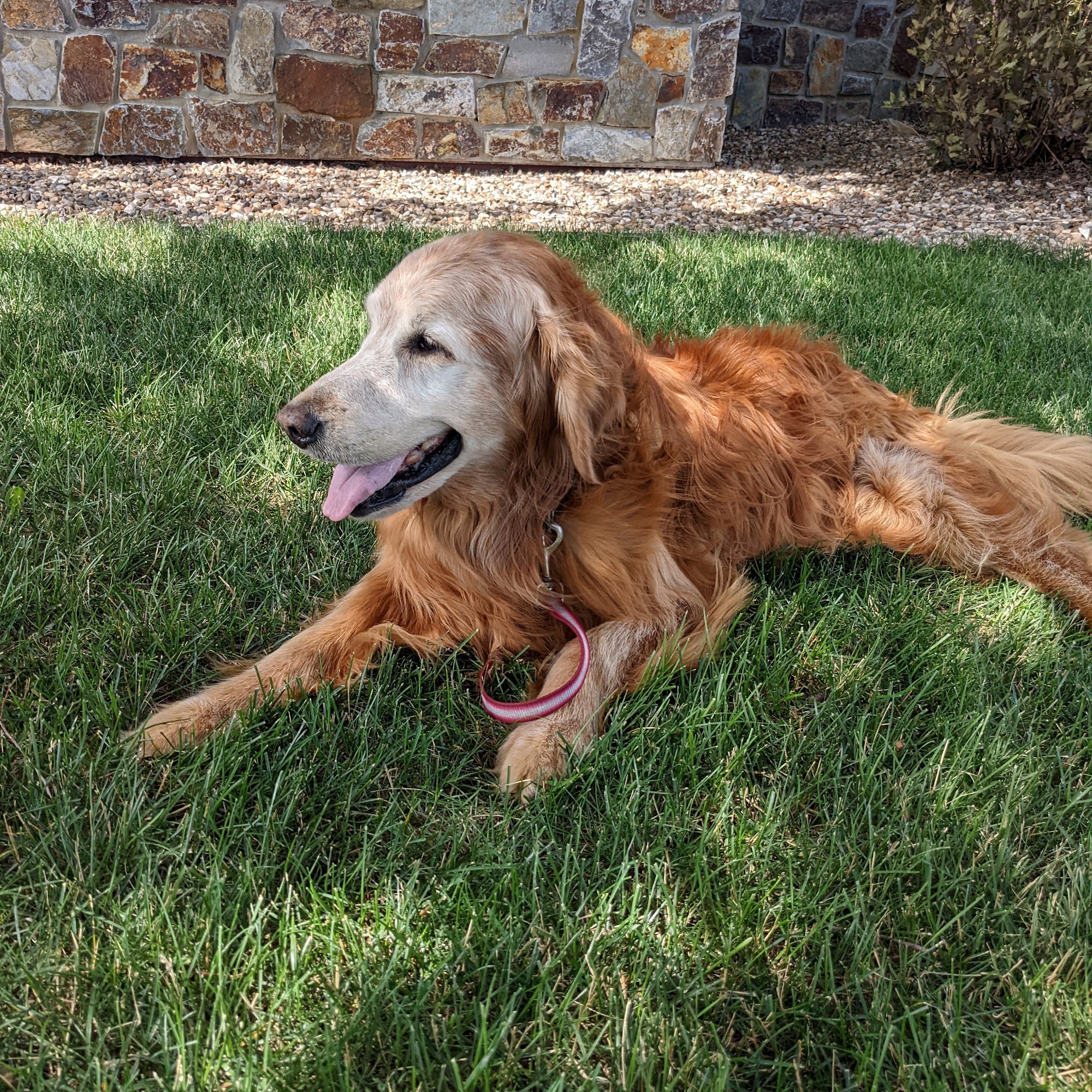 Blairs Ferry Pet Hospital Cedar Rapids
