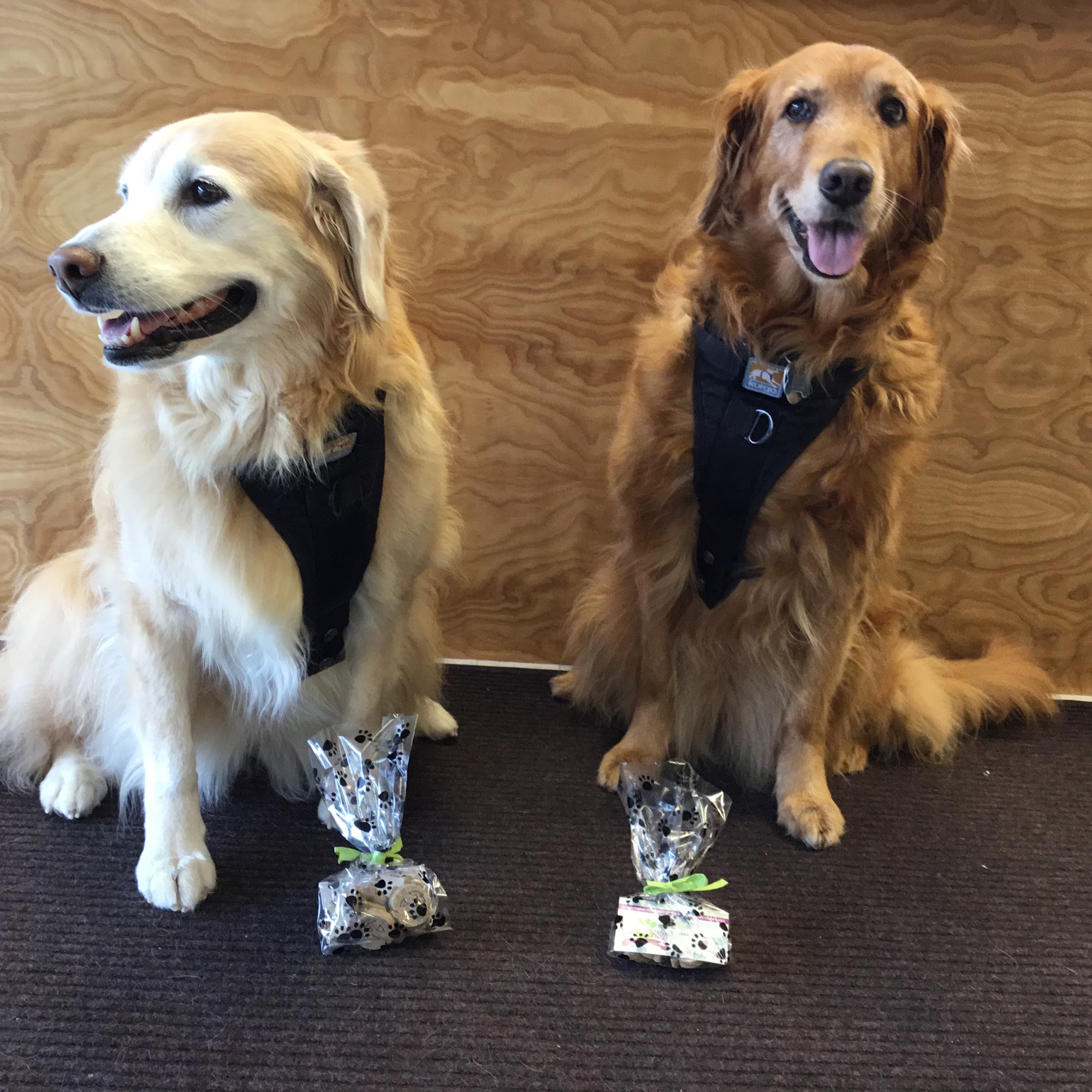 Food 4 Paws Cedar Rapids