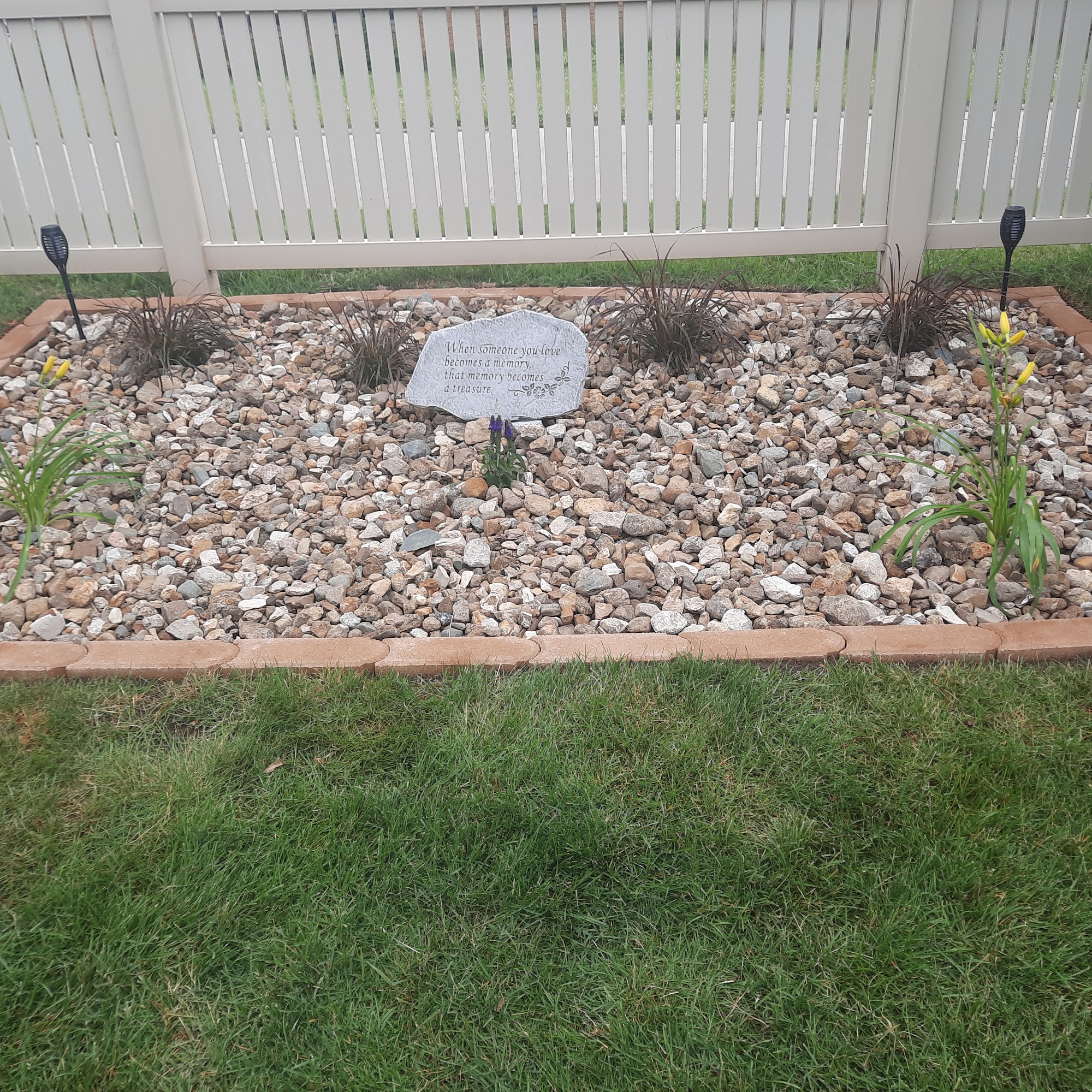 Prolawn Plus