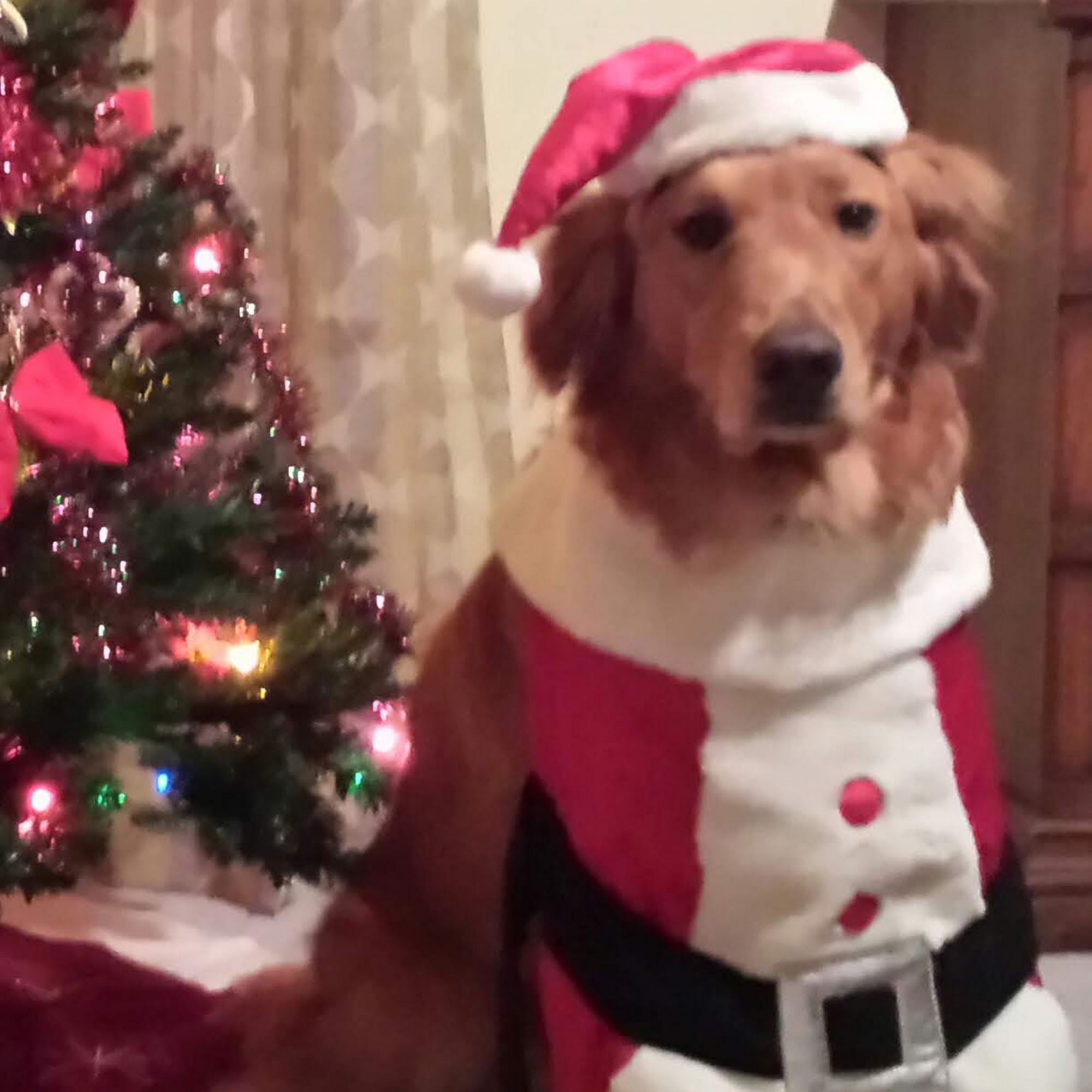 Valley Veterinary Center Cherokee