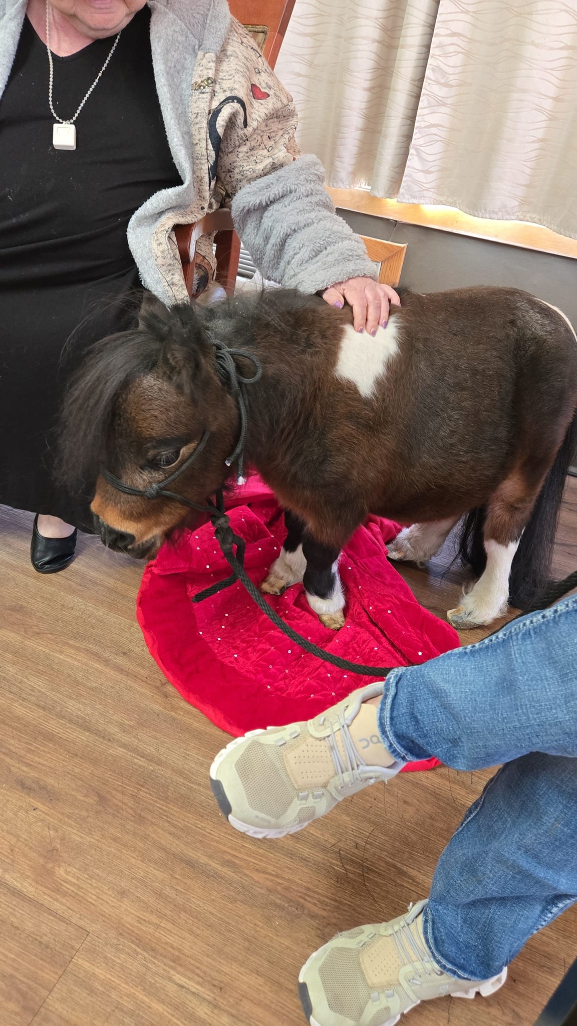 Bow-Wow Boutique Cherokee