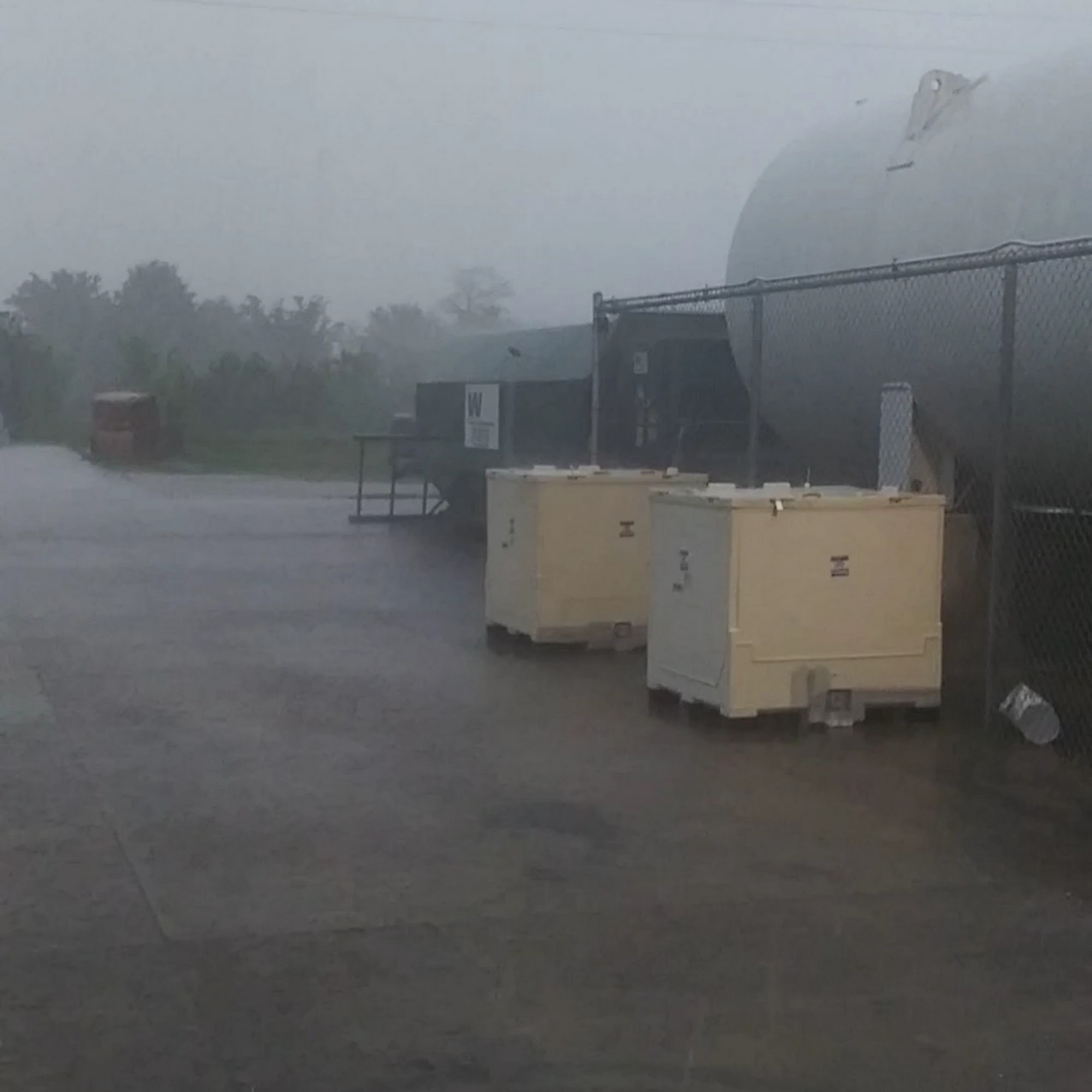 Michael's Cookies 2205 6th Ave S, Clear Lake