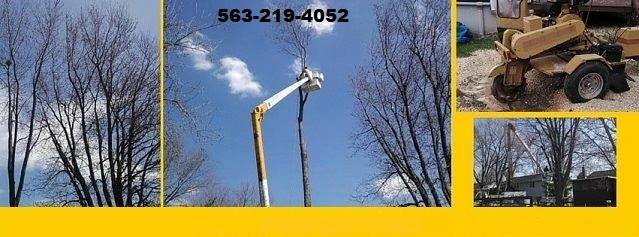 Hanson Stump Removal