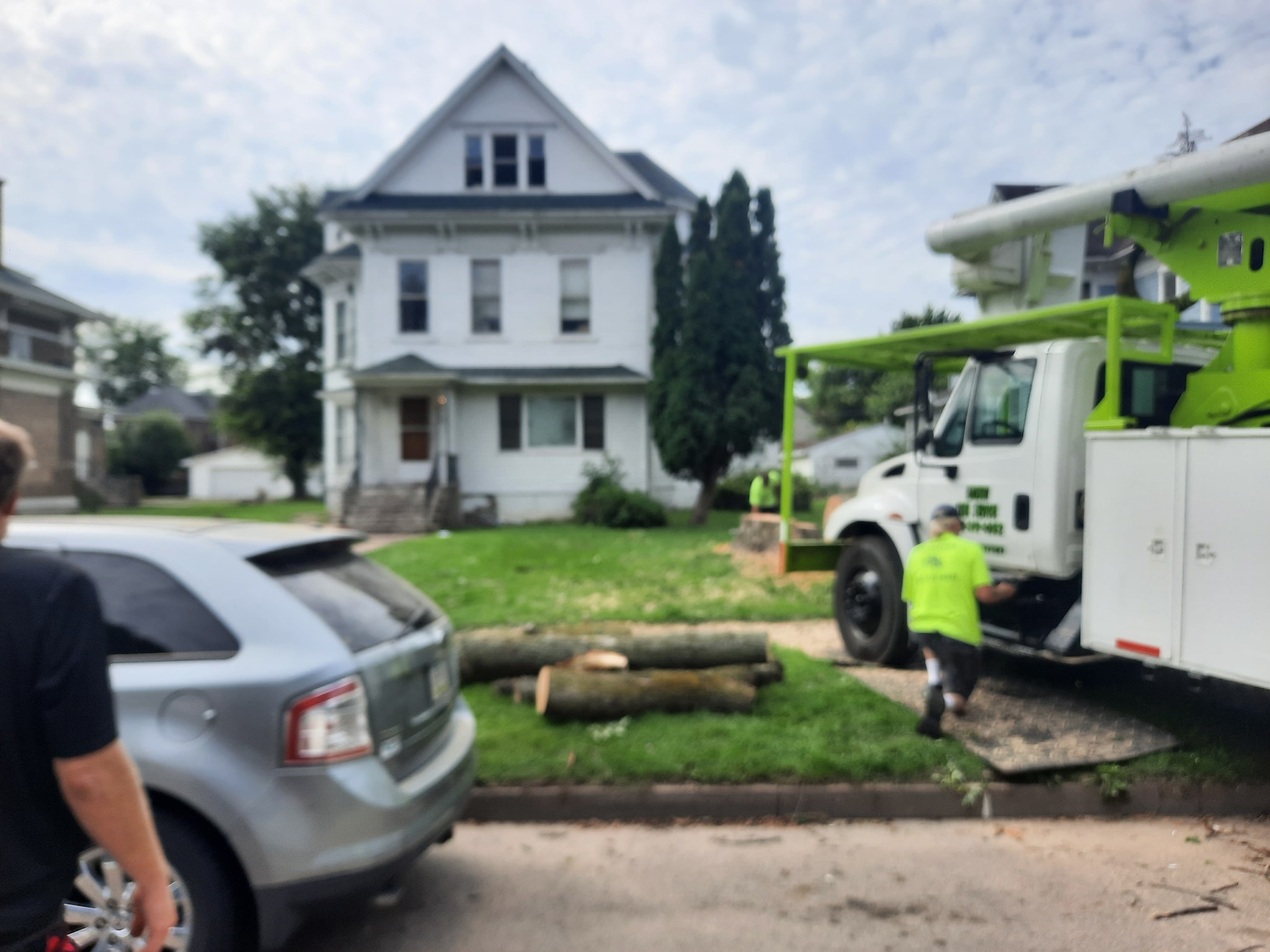 Hanson Stump Removal