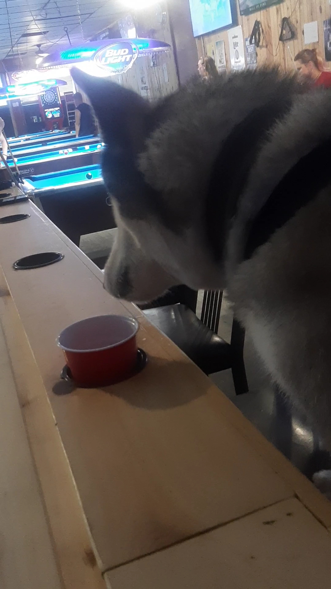 Main Street Tavern Menu