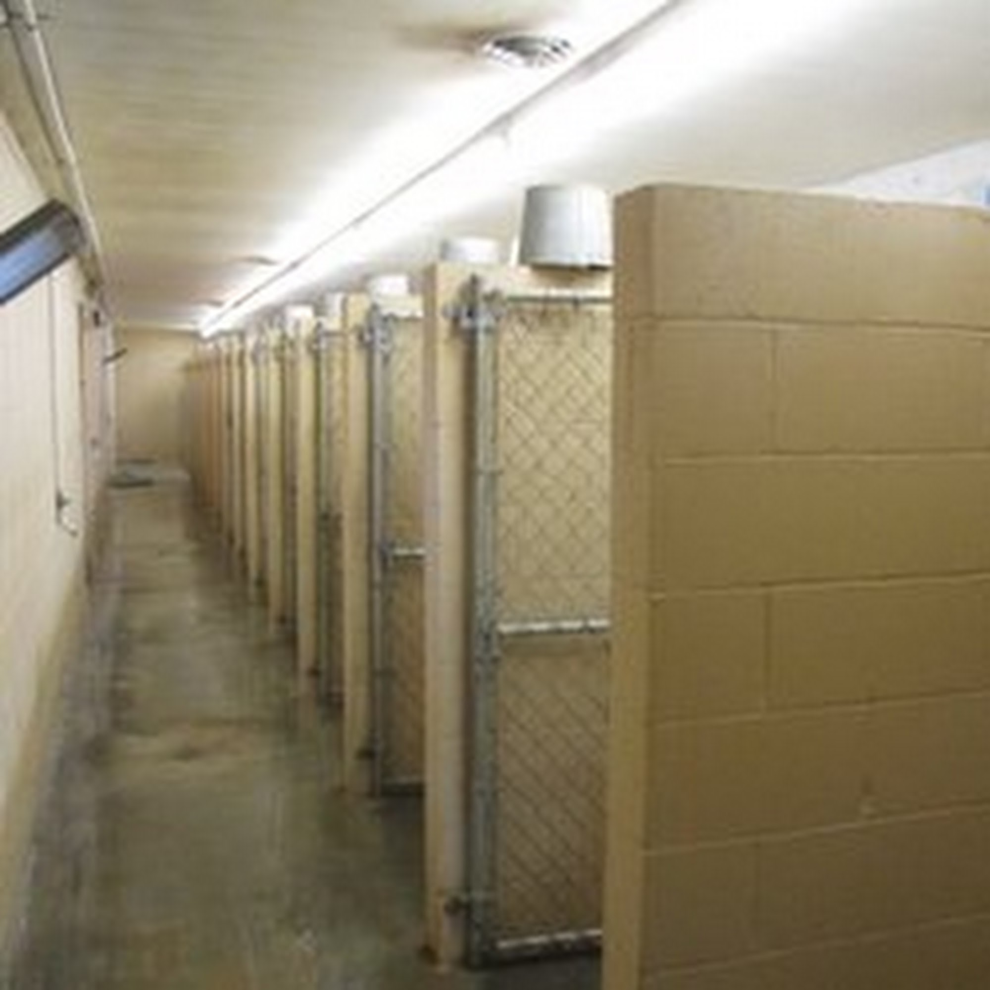 Darkenwald Kennels Council Bluffs