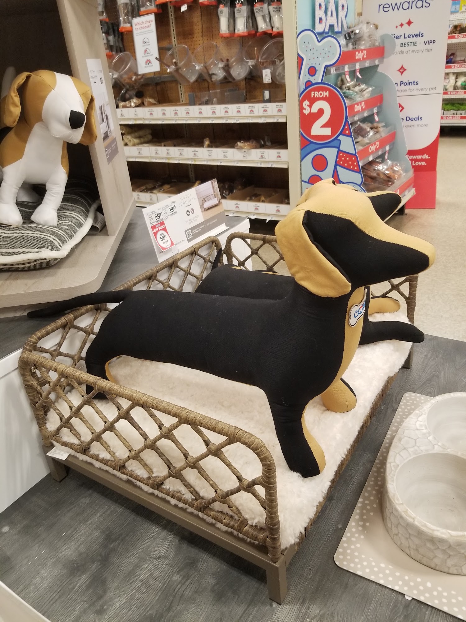 PetSmart Council Bluffs