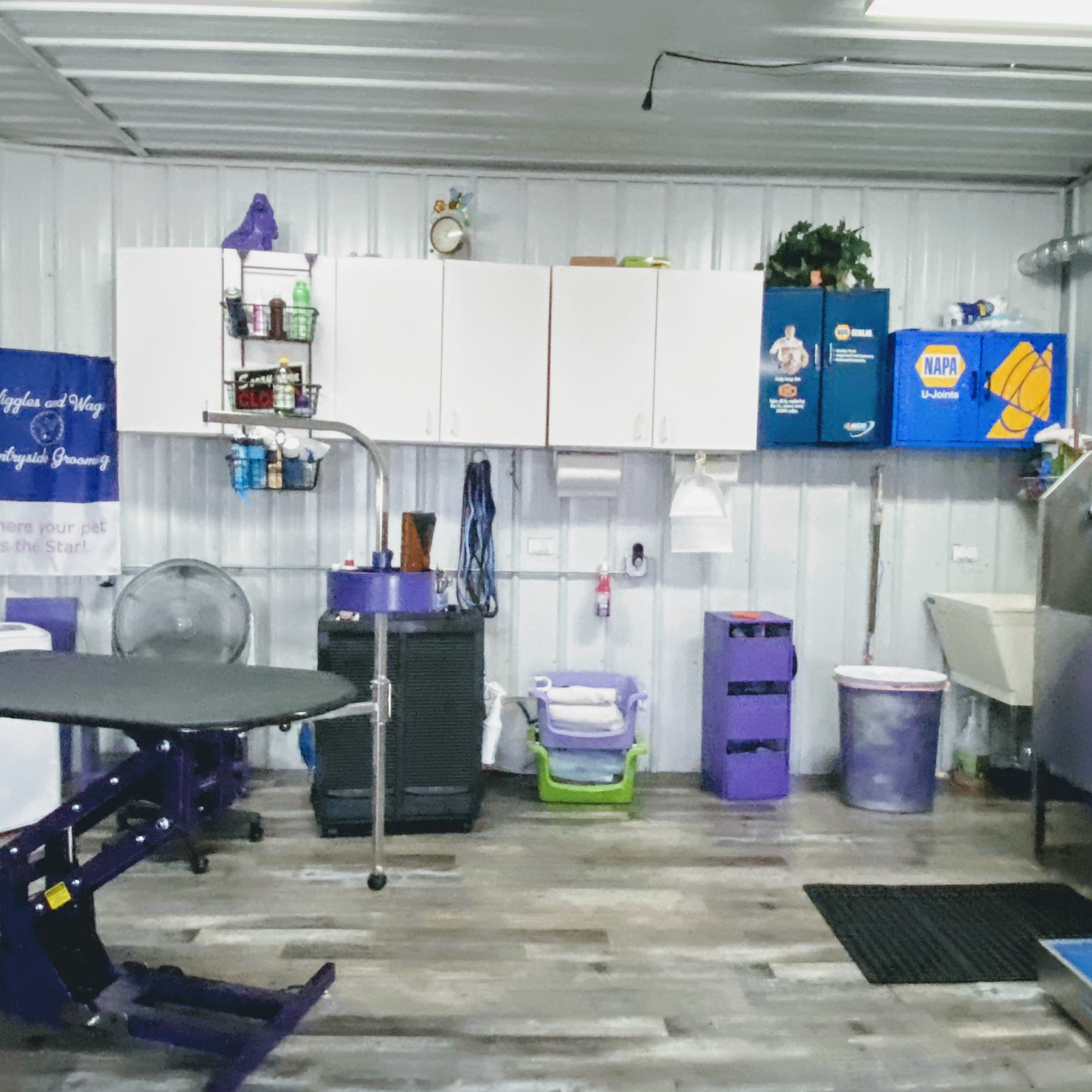 Wiggles and Wags Countryside Grooming CRESCO Iowa Cresco