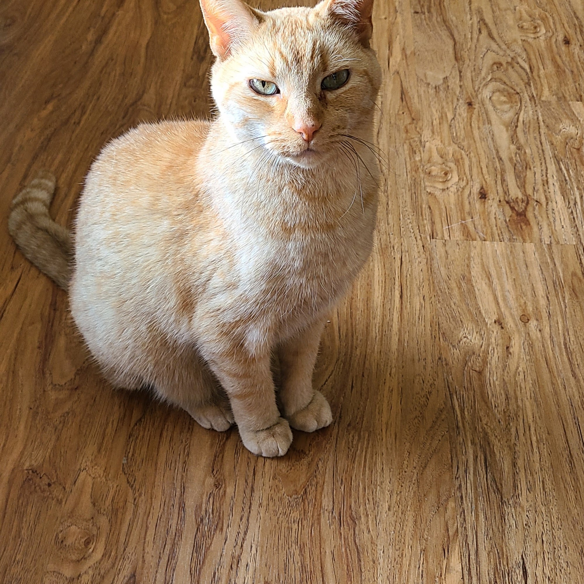 Creston Veterinary Clinic Creston