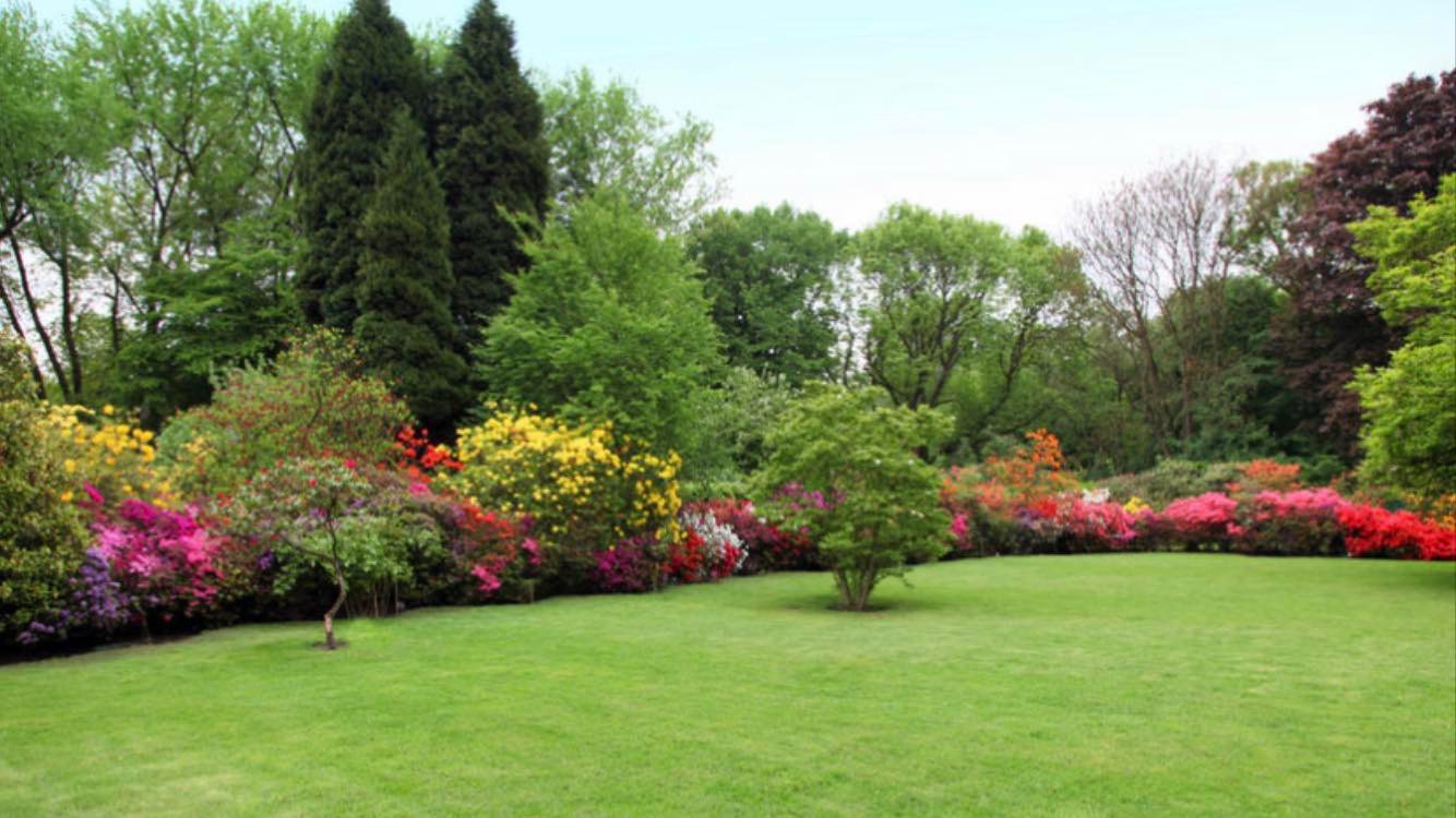 Total Tree Care LLC
