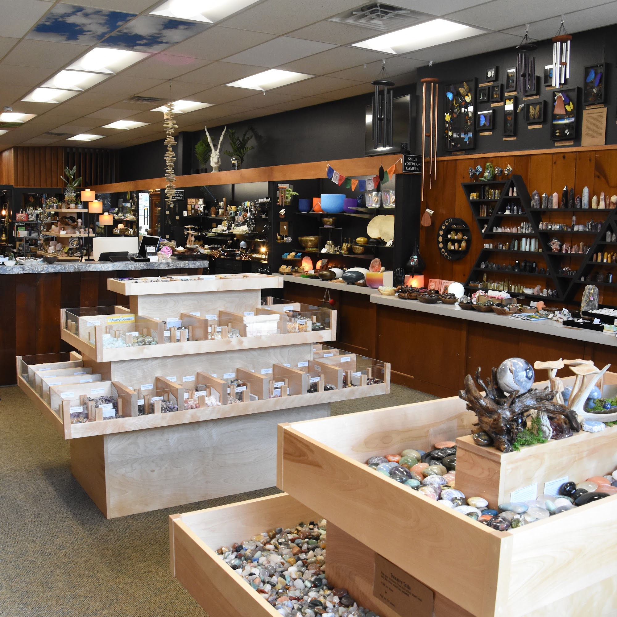 Magic Morpho Decorah