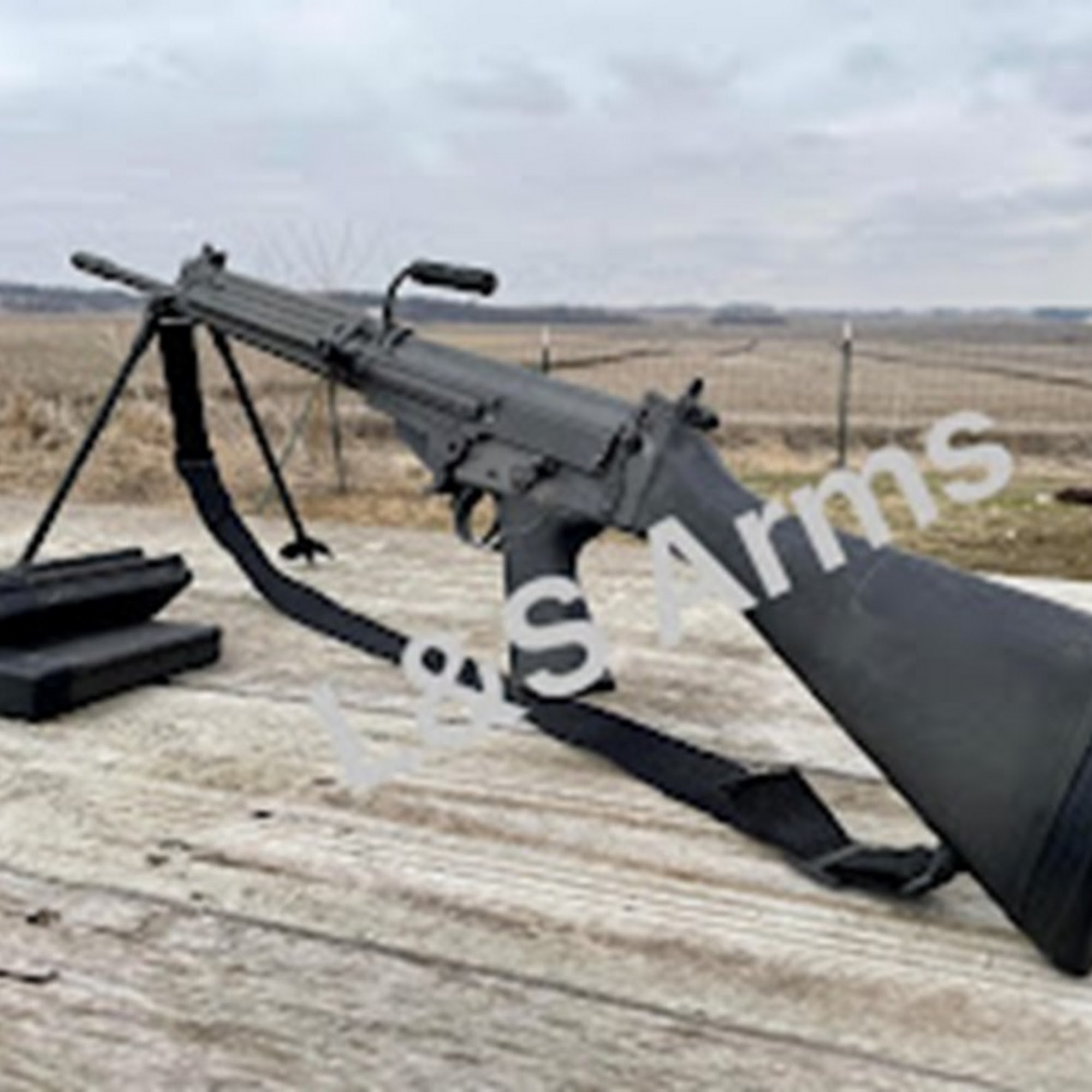 L & S Arms LLC Delmar