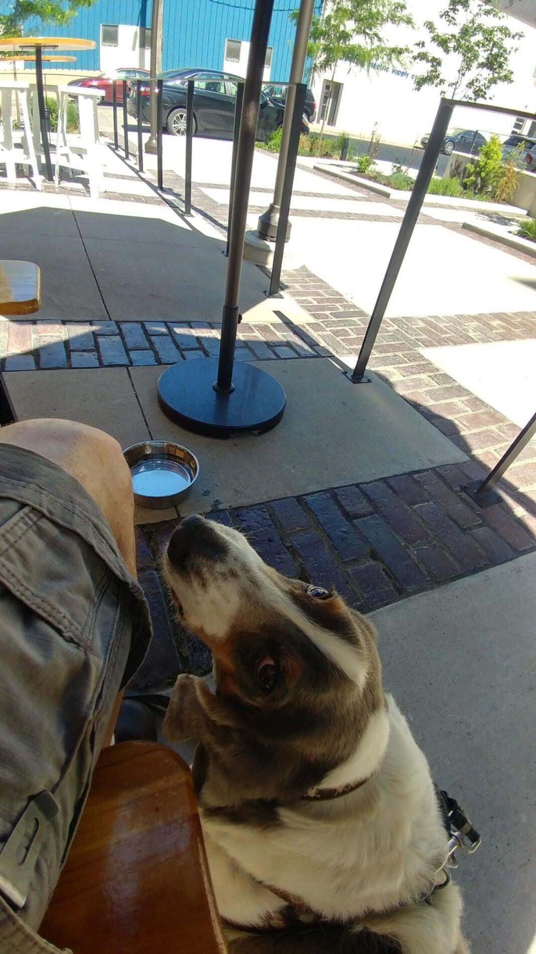 Photo credit: nextdoor