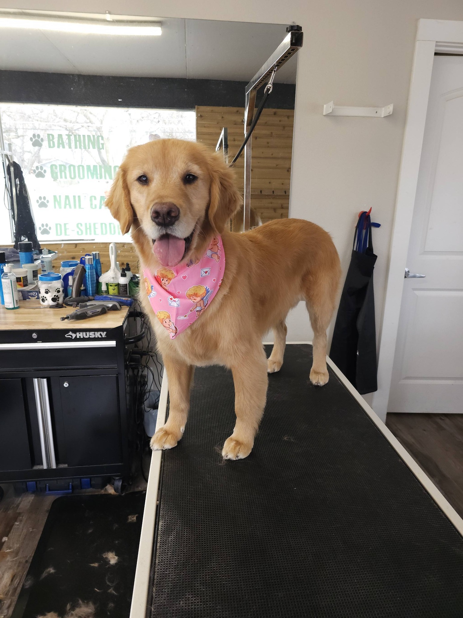 DogWorks LLC Des Moines