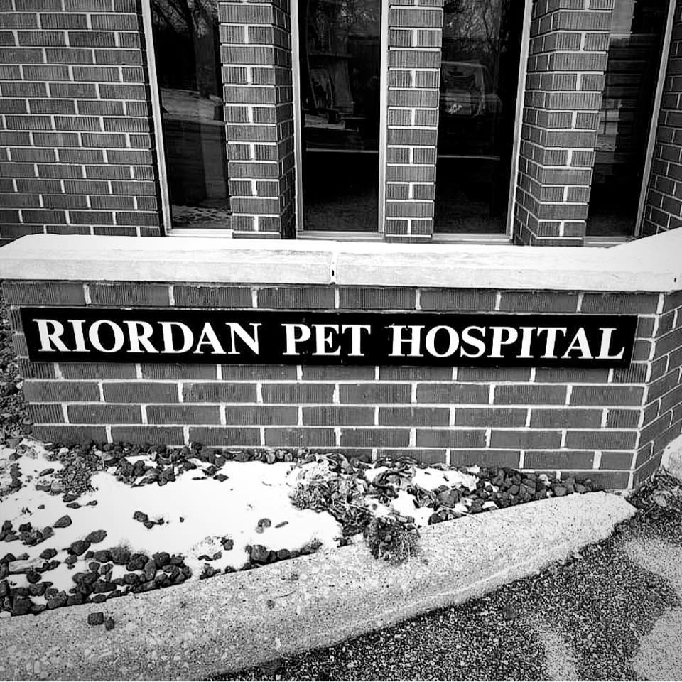 Riordan Pet Hospital: Olds June DVM