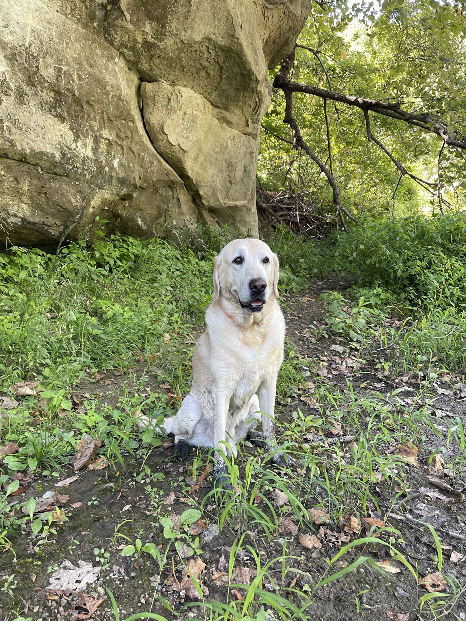Riordan Pet Hospital: Olds June DVM