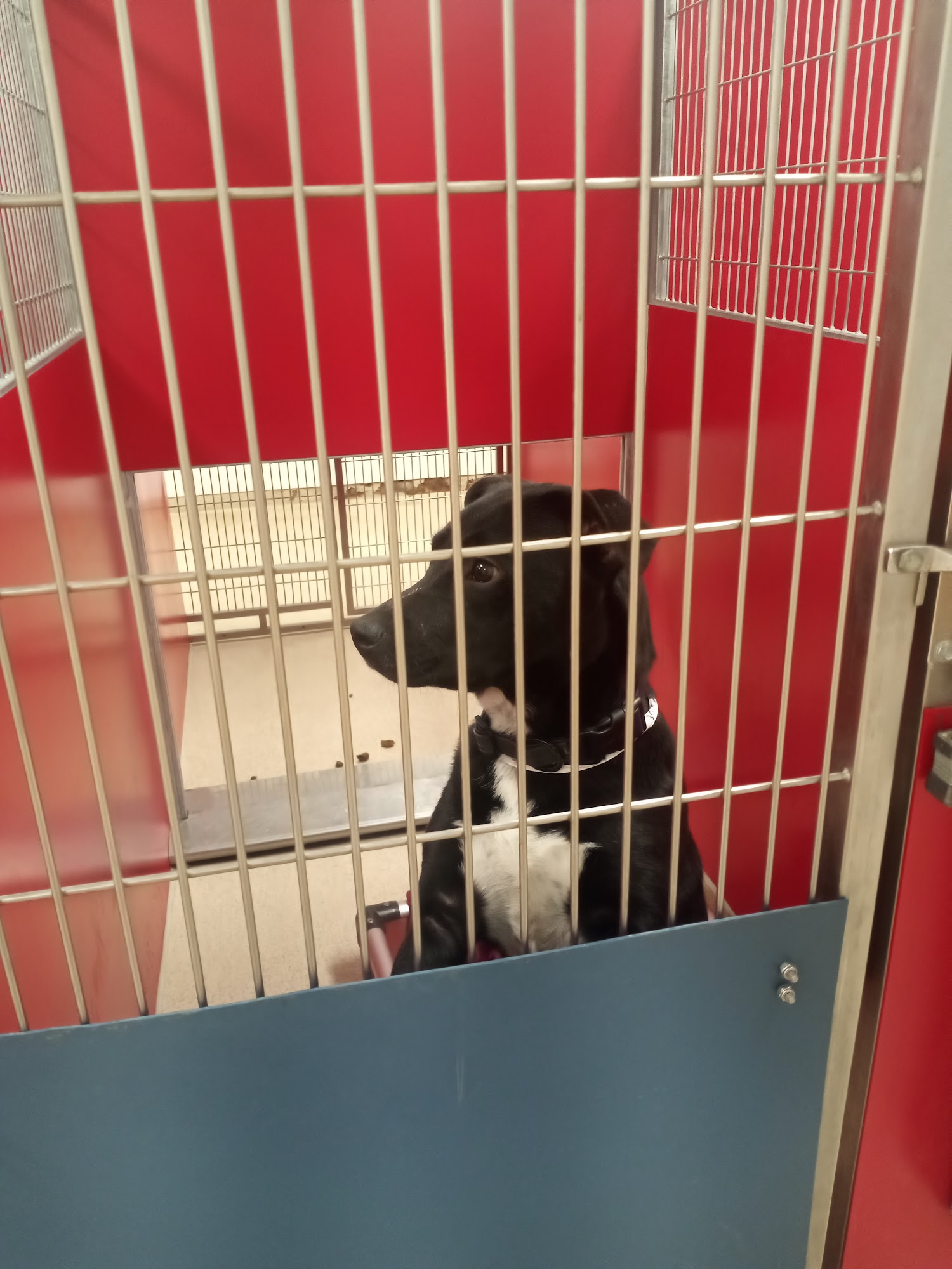 Dubuque Regional Humane Society Dubuque