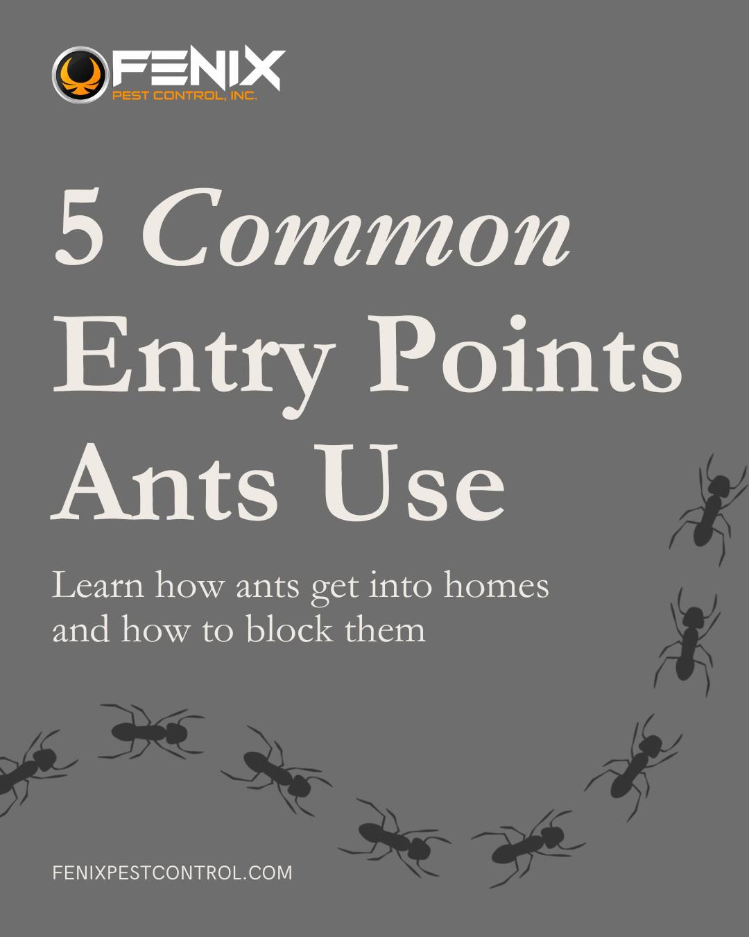 Fenix Pest Control, Inc.
