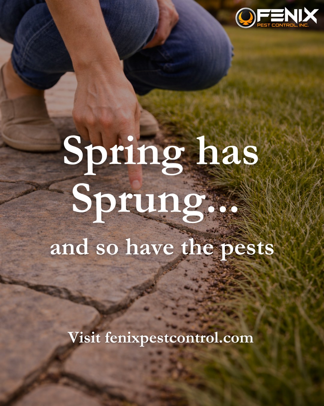 Fenix Pest Control, Inc.